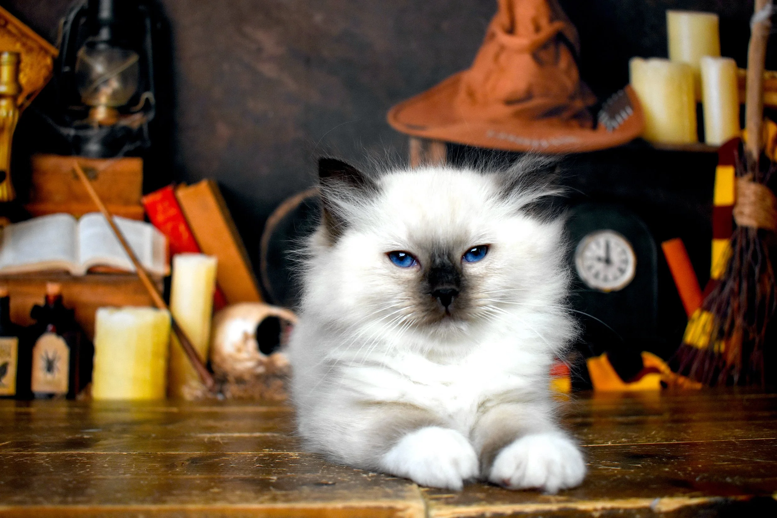 DSC_1166.JPG