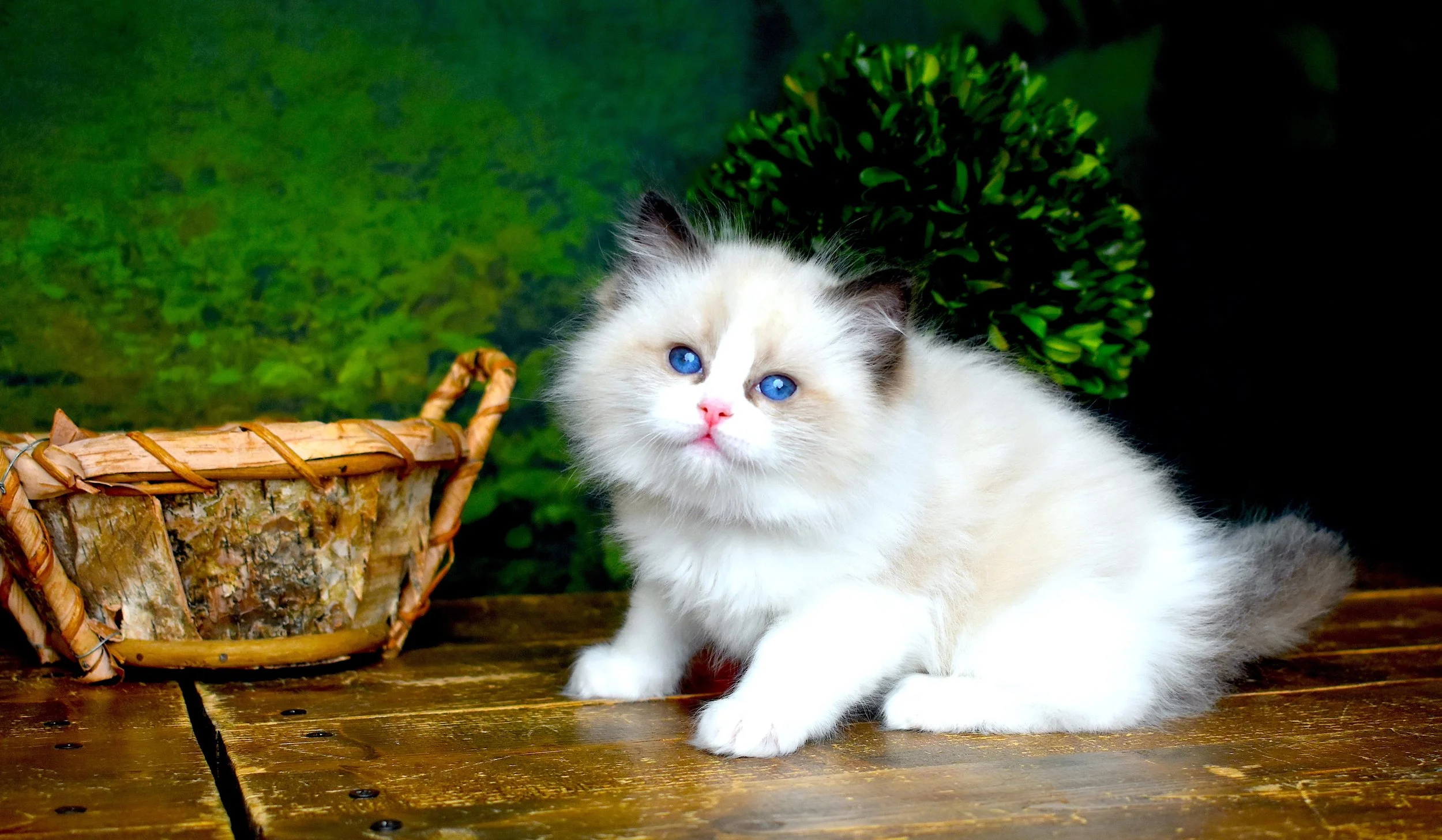 DSC_0291.JPG