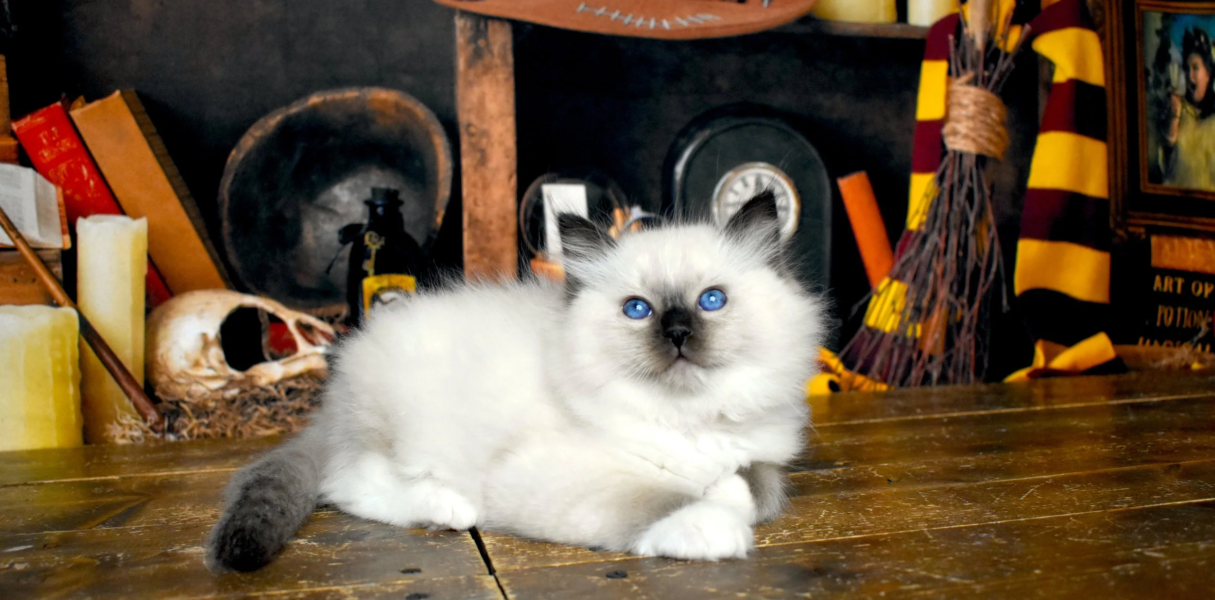 DSC_1189.JPG