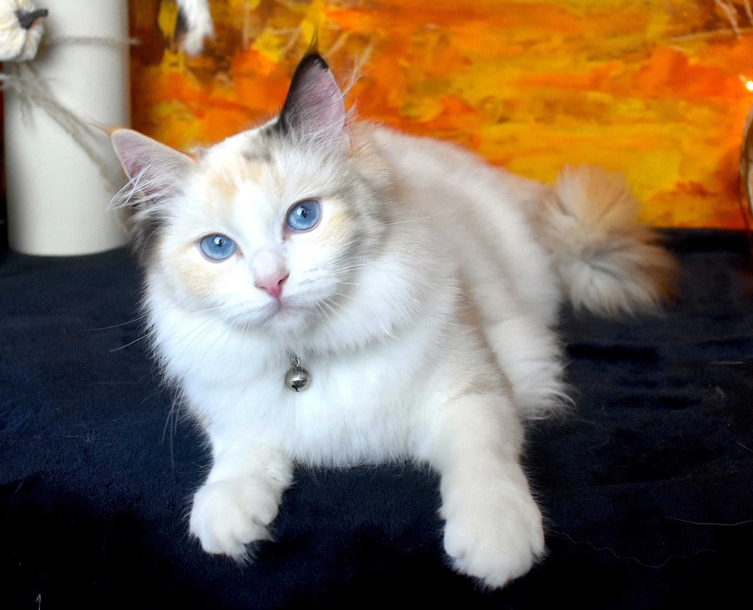 DSC_0561.JPG