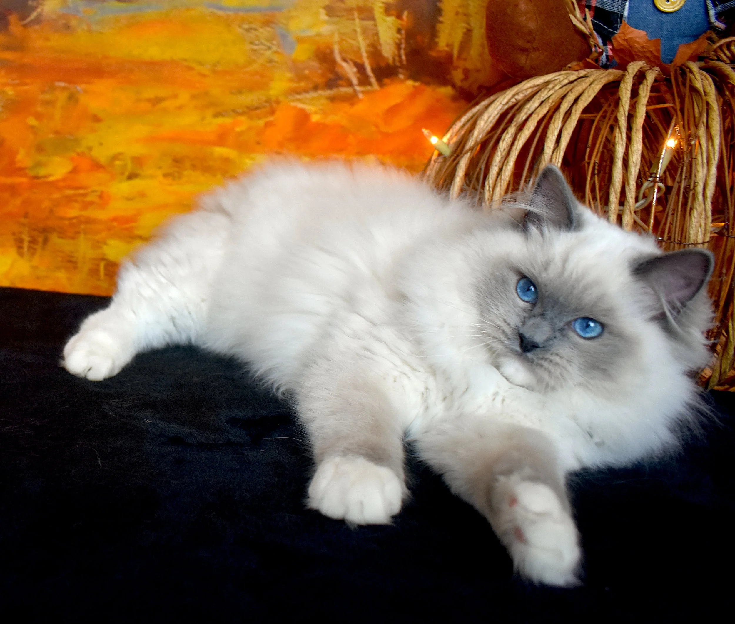 DSC_0535.JPG