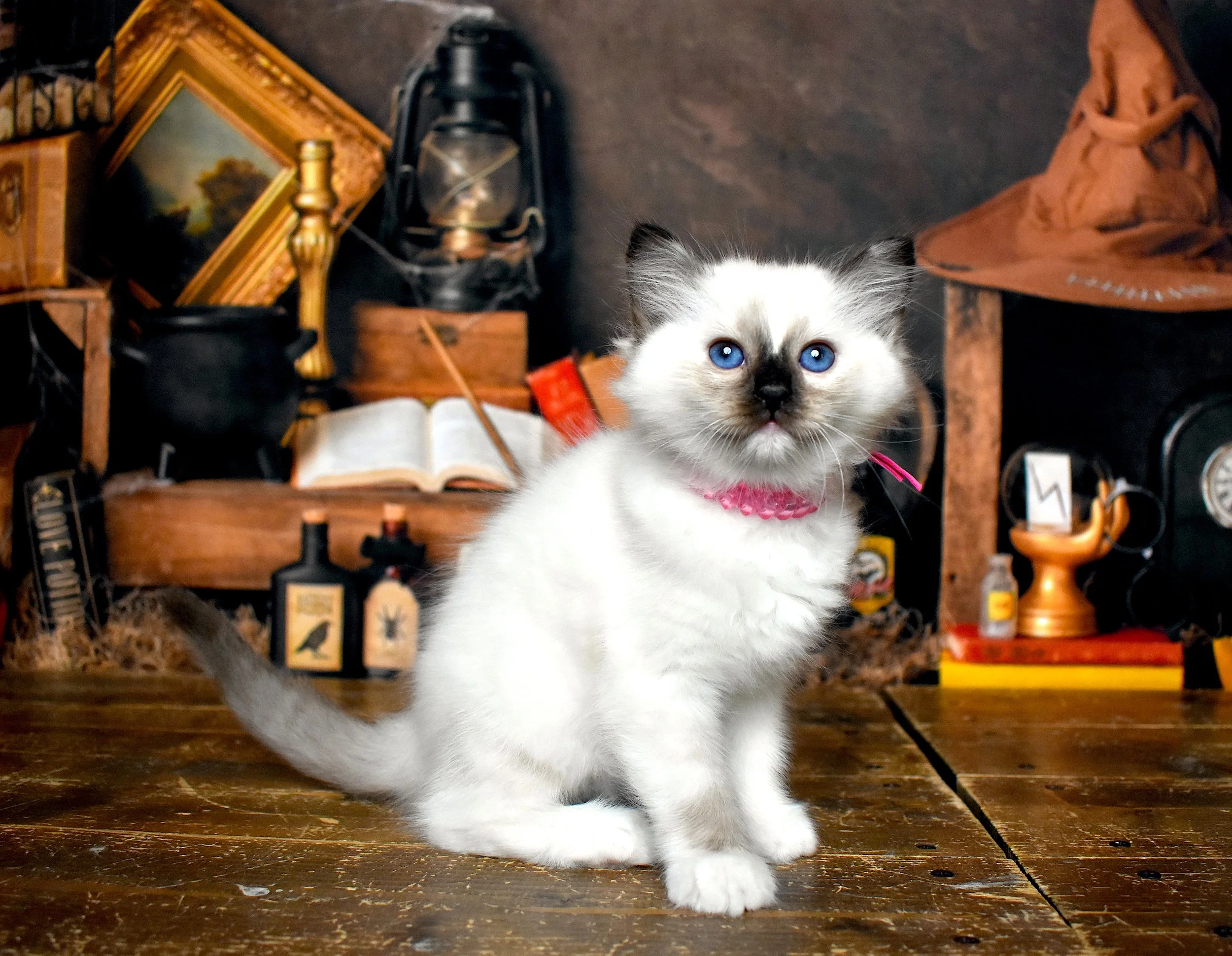 DSC_1224.JPG
