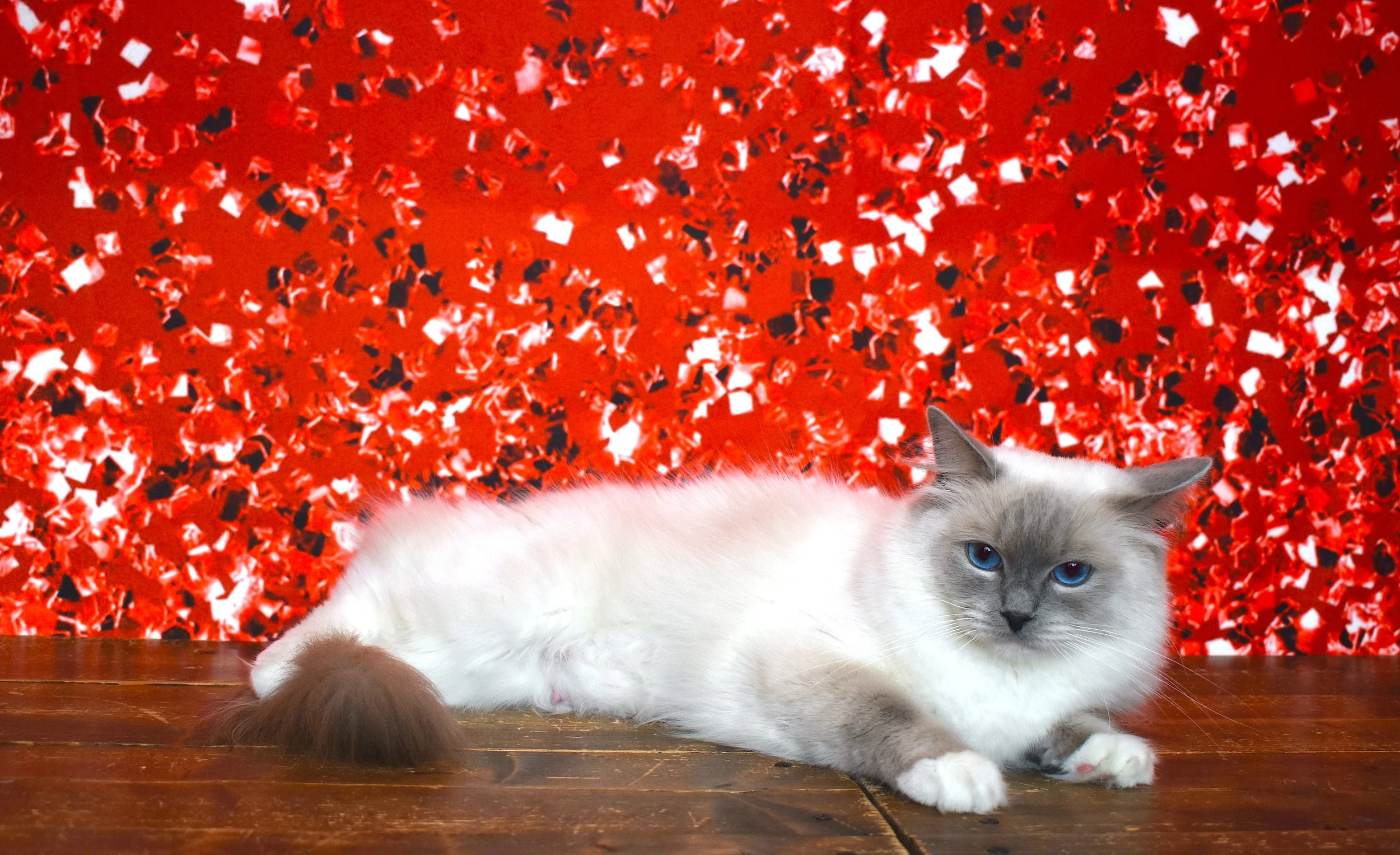 DSC_0091.JPG