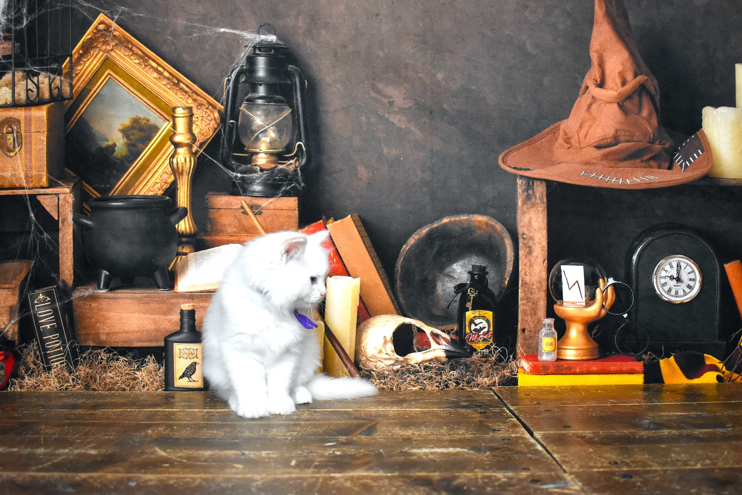 DSC_1150.JPG