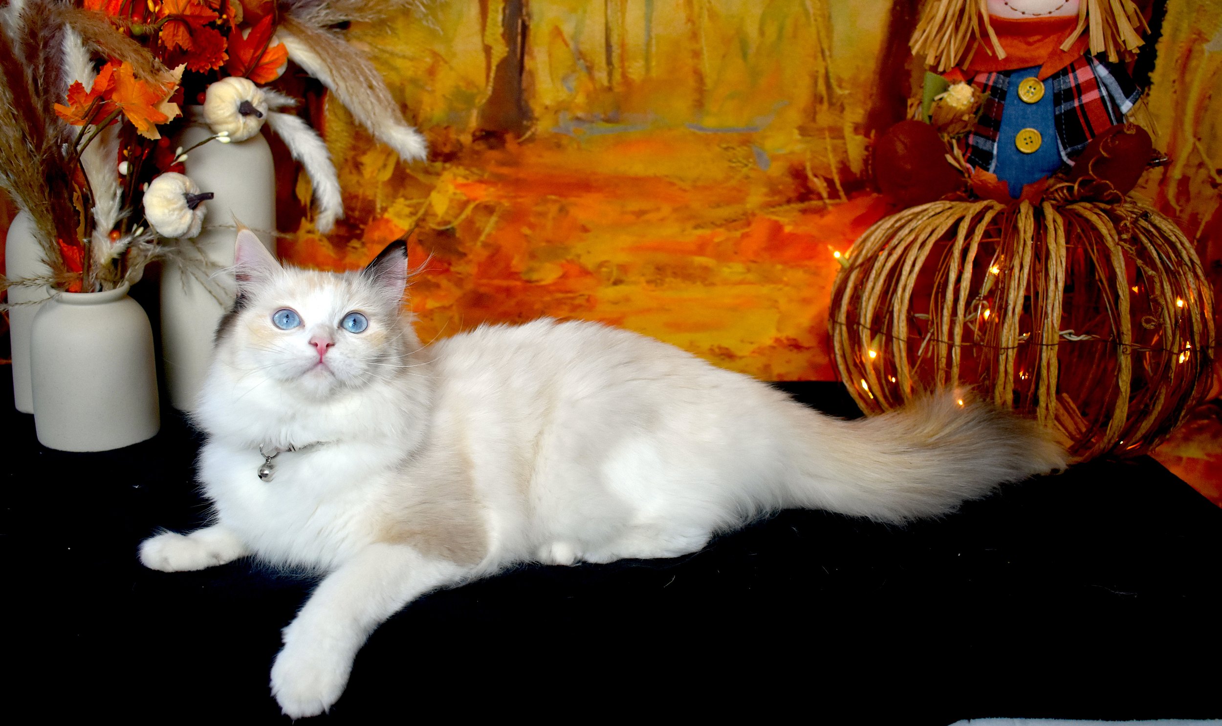 DSC_0583.JPG