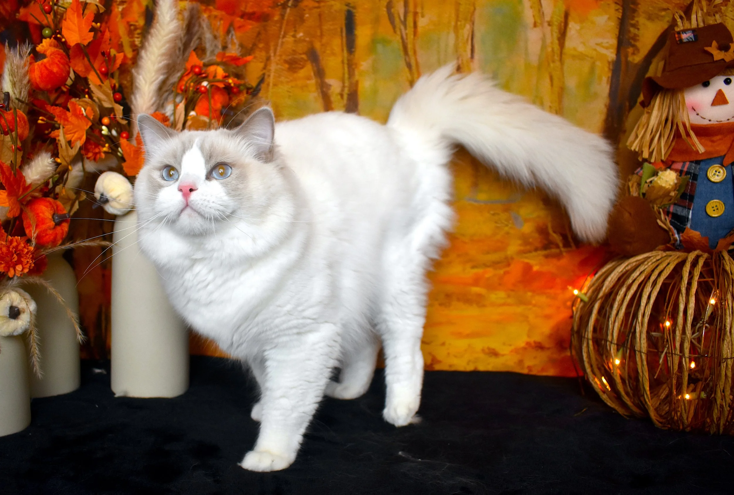 DSC_0627.JPG