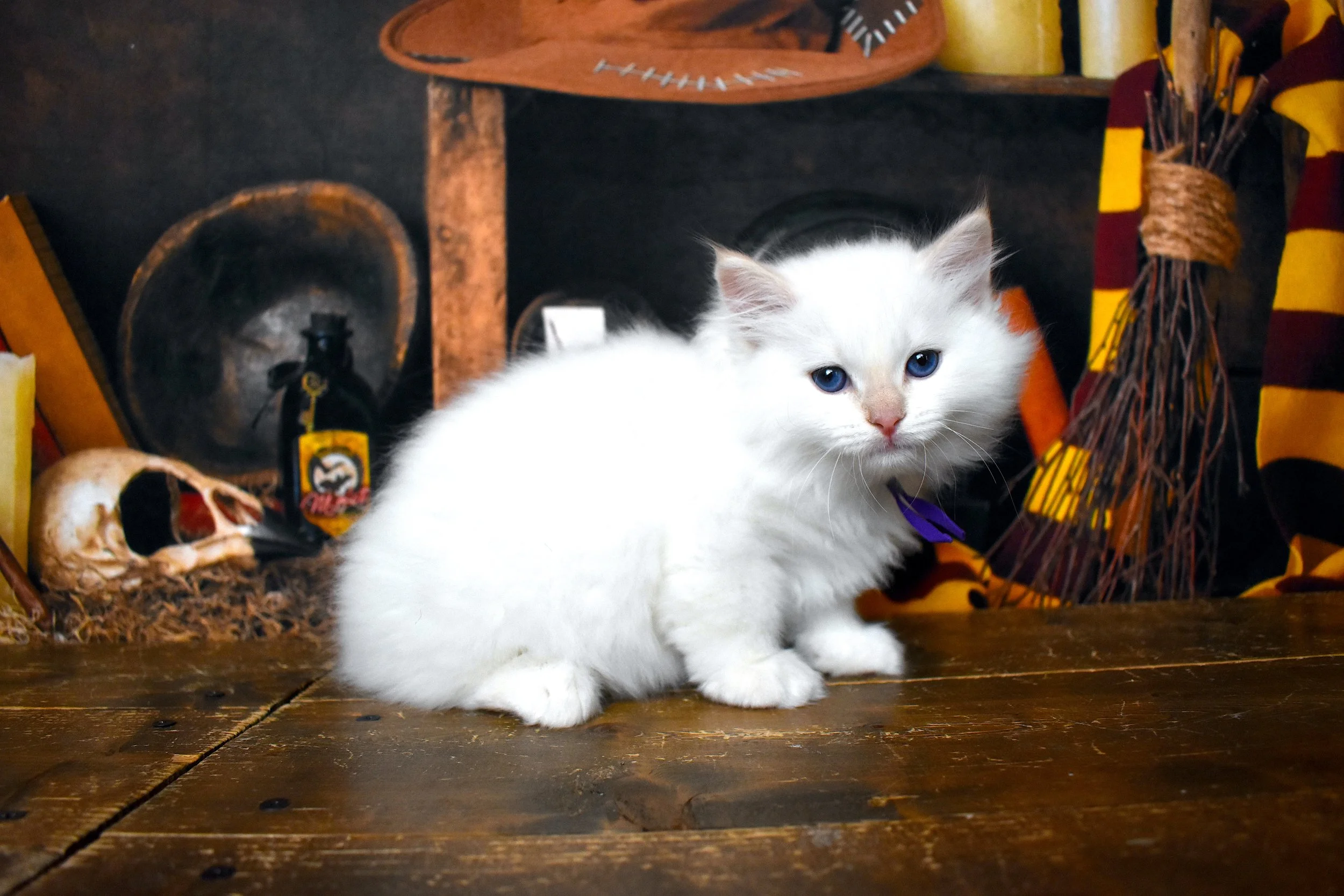 DSC_1162.JPG