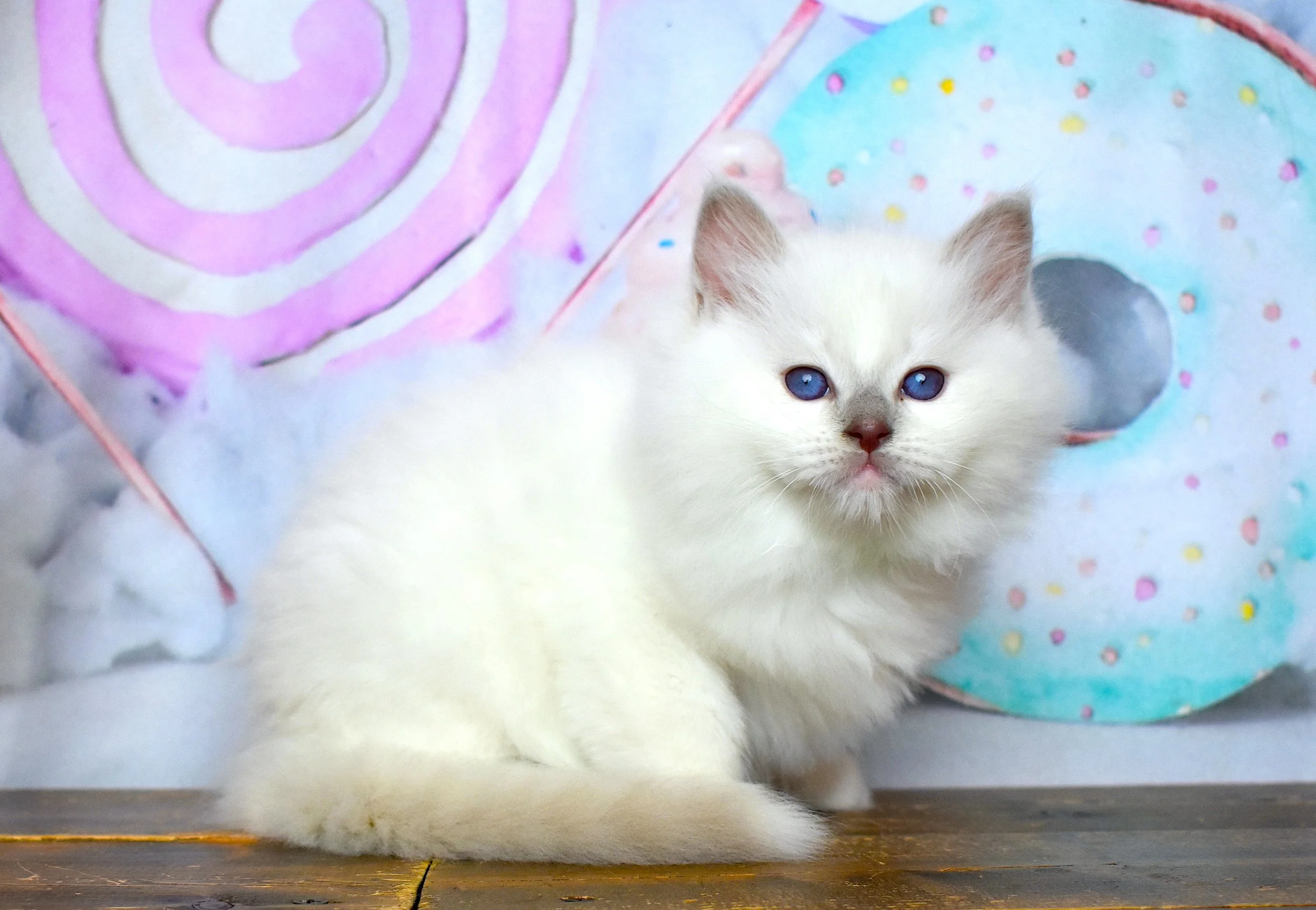DSC_3333.JPG