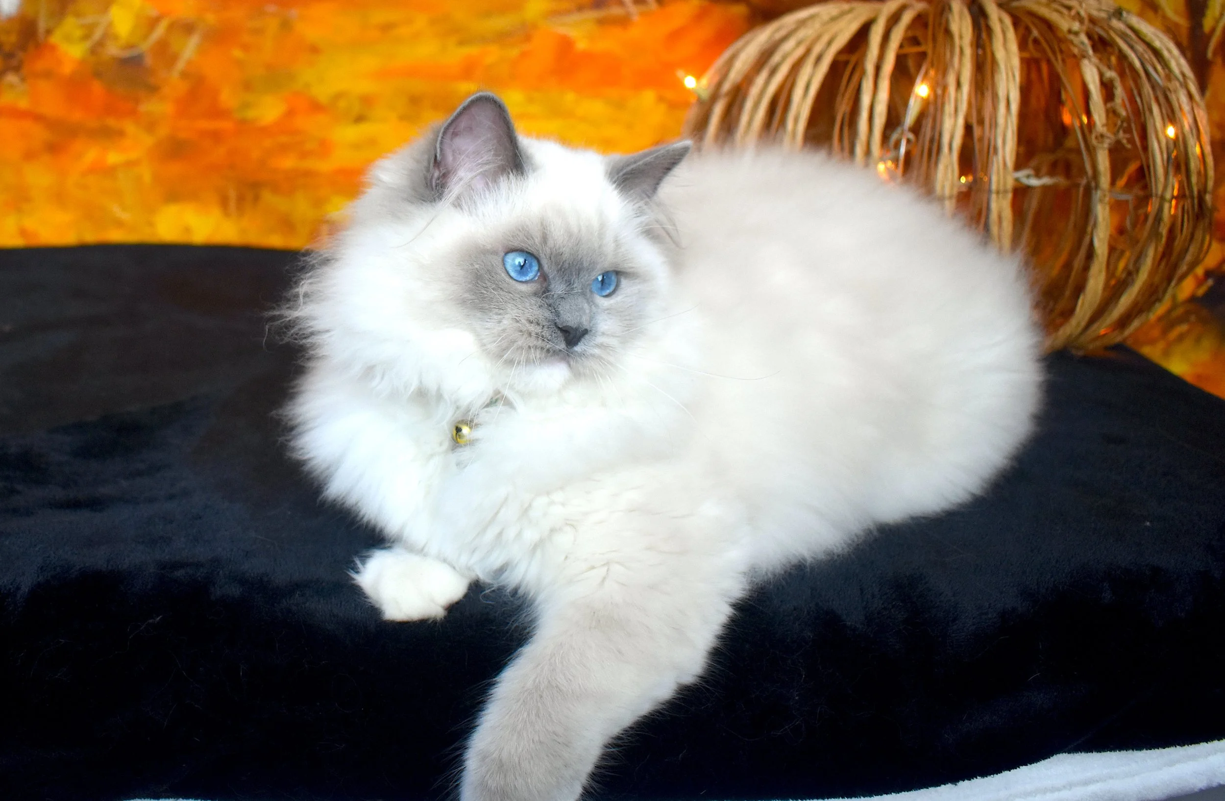 DSC_0540.JPG