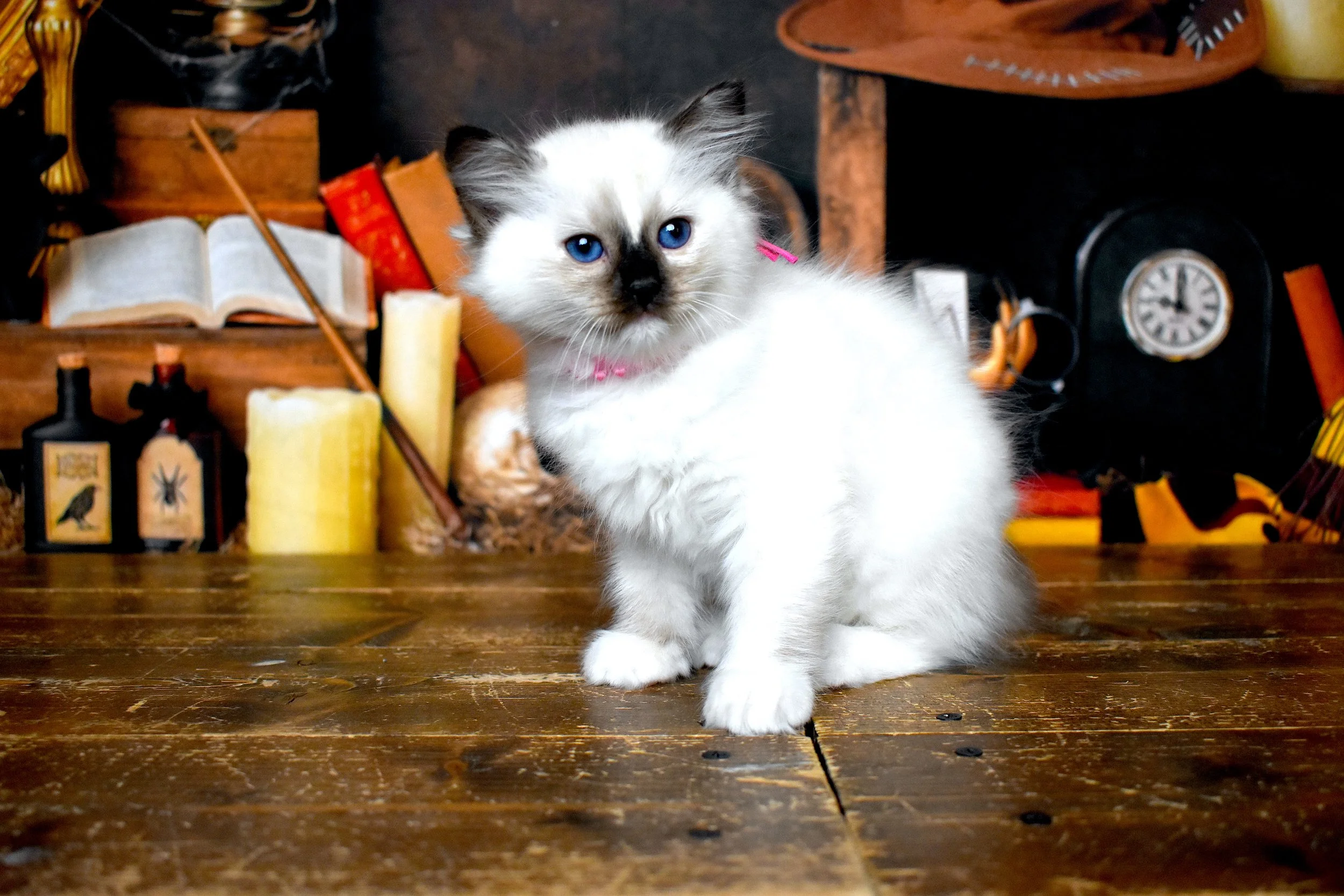 DSC_1213.JPG