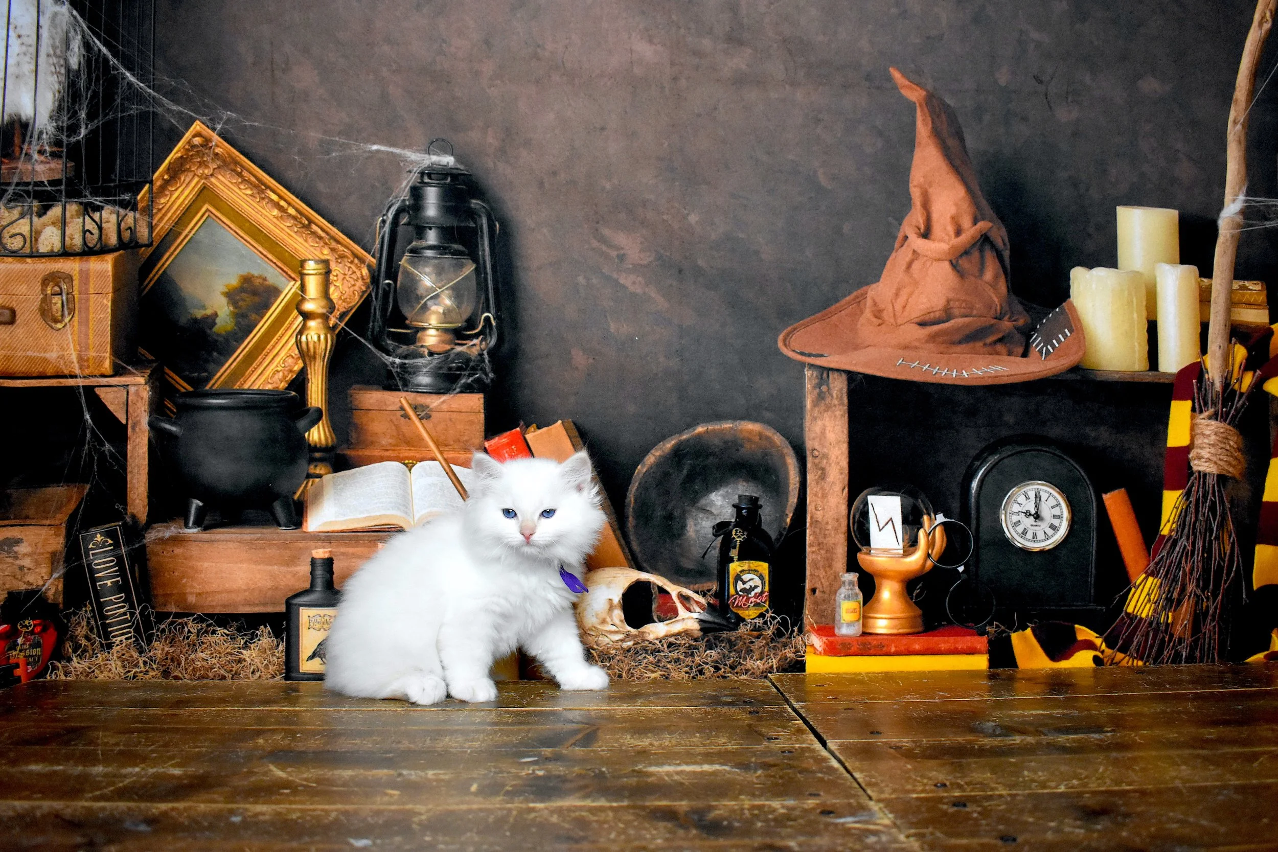 DSC_1155.JPG