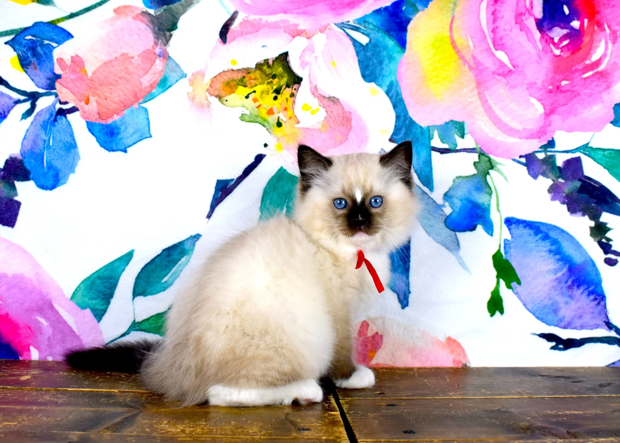 DSC_3102.JPG