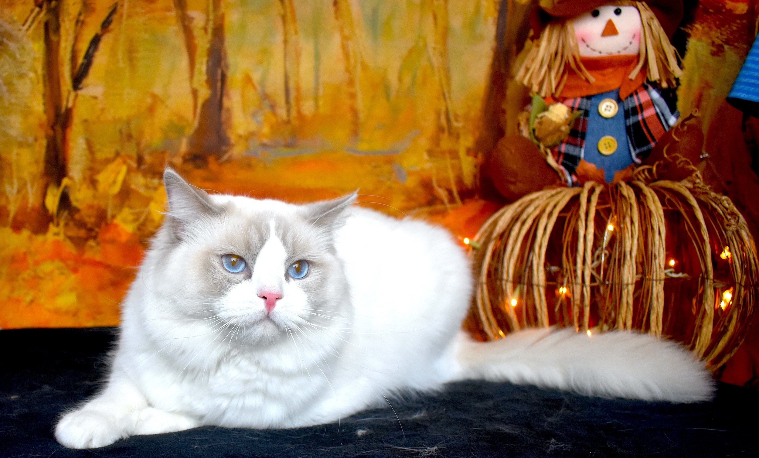 DSC_0637.JPG