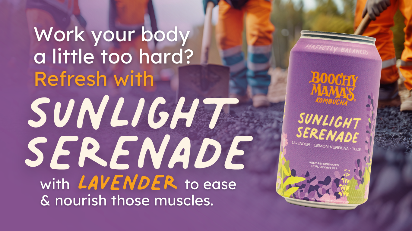 Kombucha-for-the-Workplace-Sunlight-Serenade-Lavender-Muscle-Ease-Boochy-Mama-Subscription (1).png