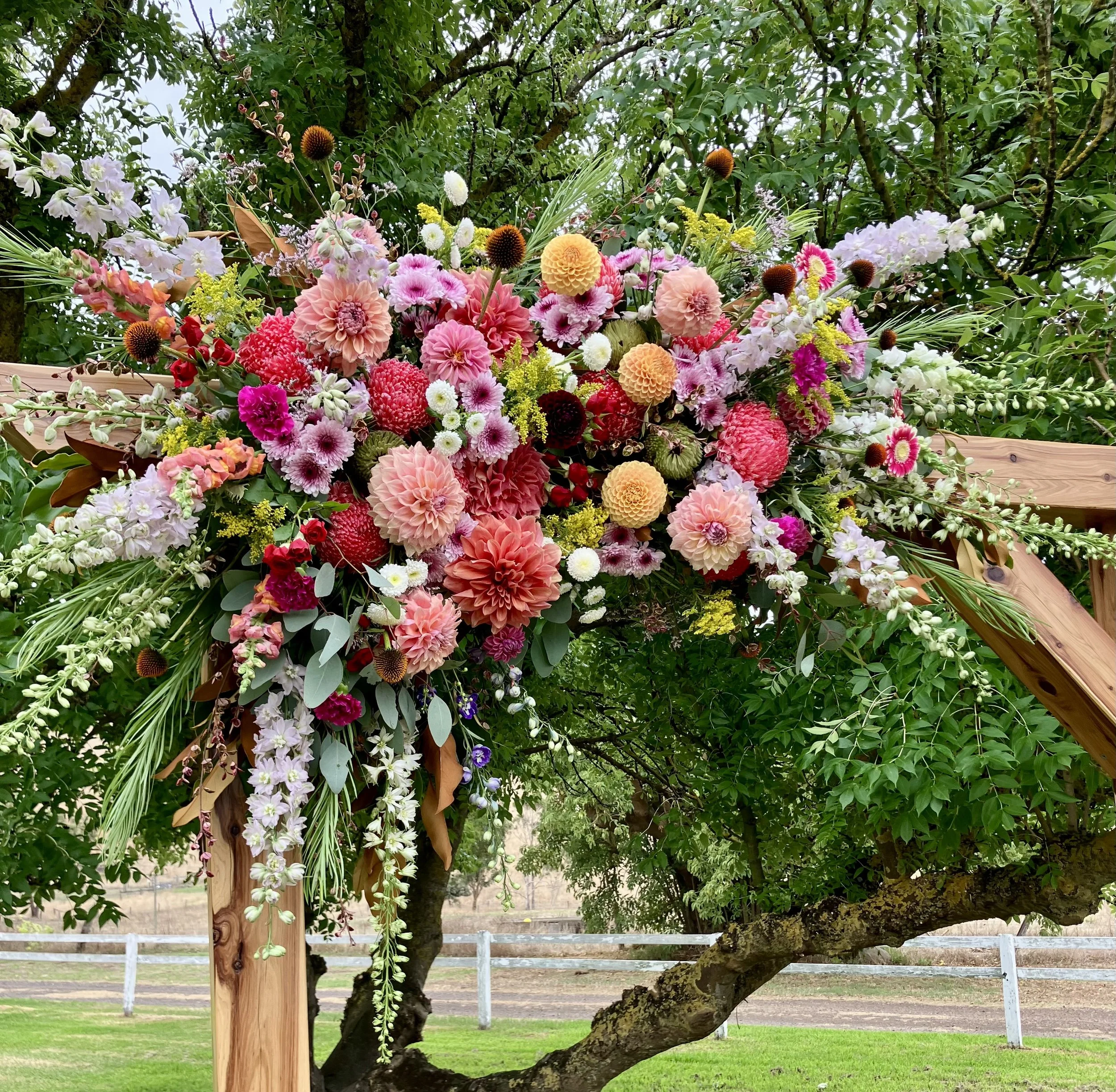 Wedding - March 7, 2026