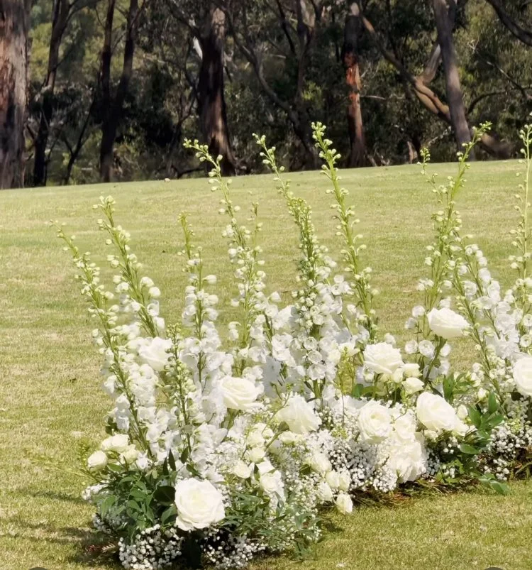 Ceremony Ground Arrangements - top of 'The Peak' Lorne
