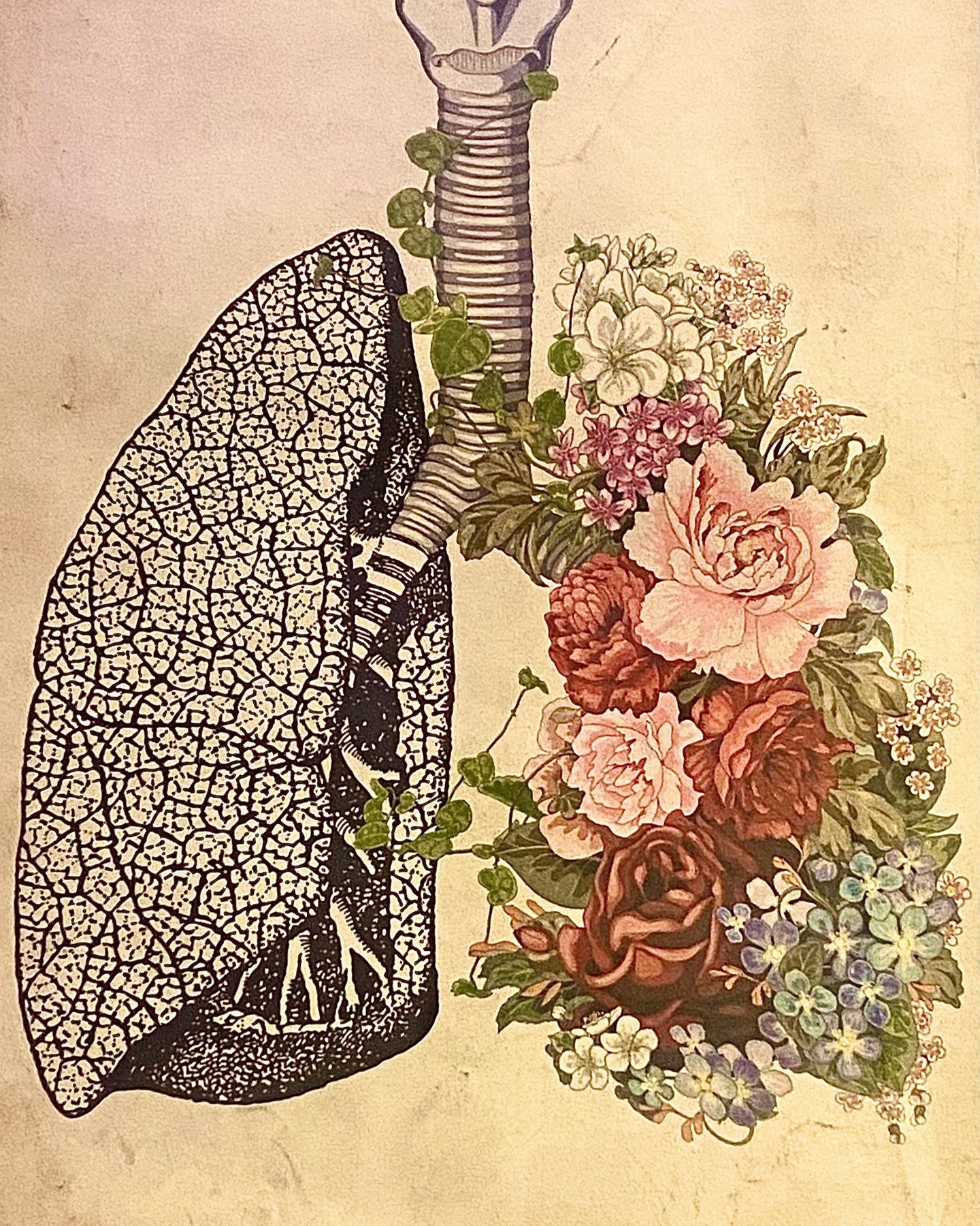 🌬 L O V E YOUR L U N G S 💞

Your lungs bring oxygen to every cell in the body. In Traditional Chinese medicine (TCM) the lungs are more than just a respiratory system.

YOUR TCM LUNG ATTRIBUTES:
1. Open to the nose; this means sinuses, bronchial, a