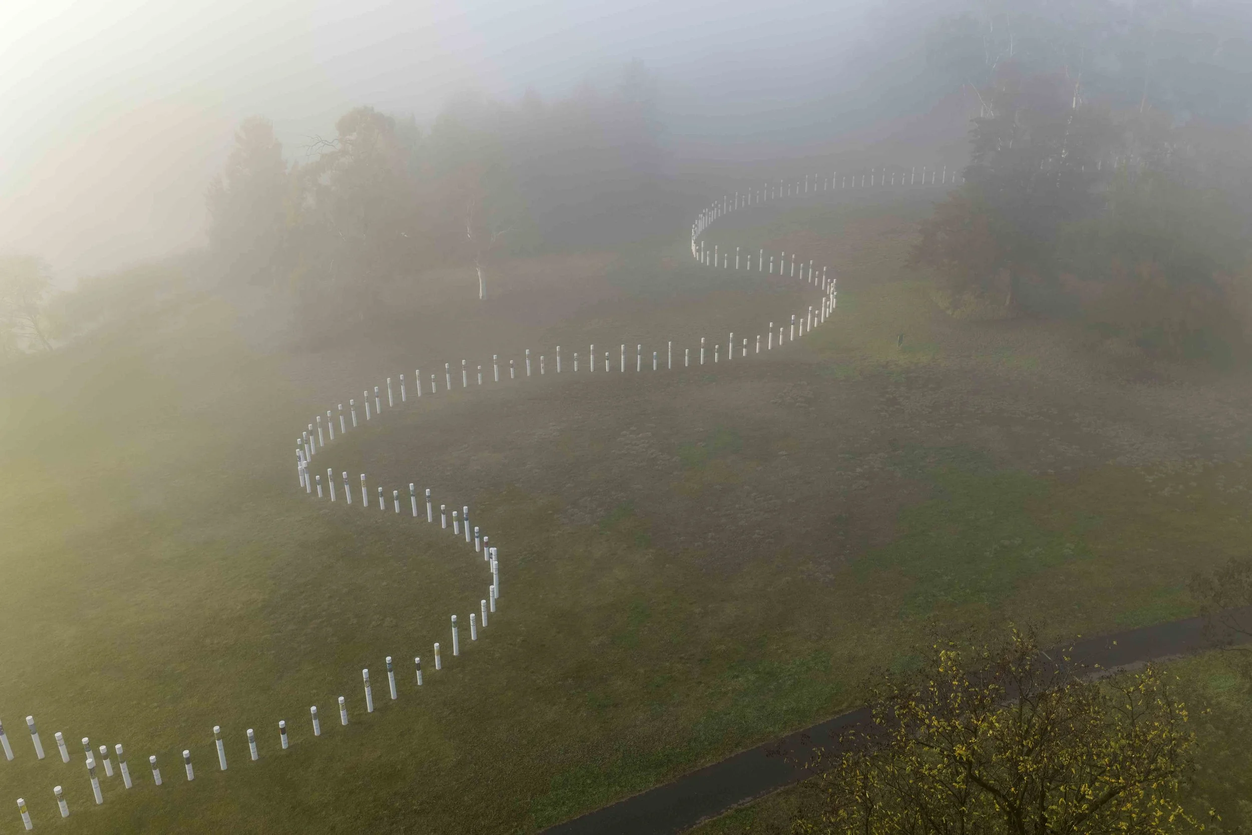 A foggy landscape with a winding row of white fence posts on a grassy hill and trees in the background.
