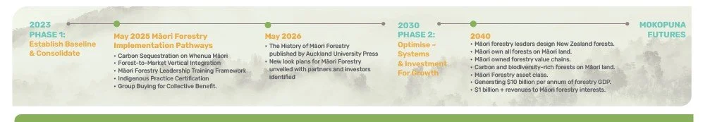 Māori Forestry 2040 Transitions 