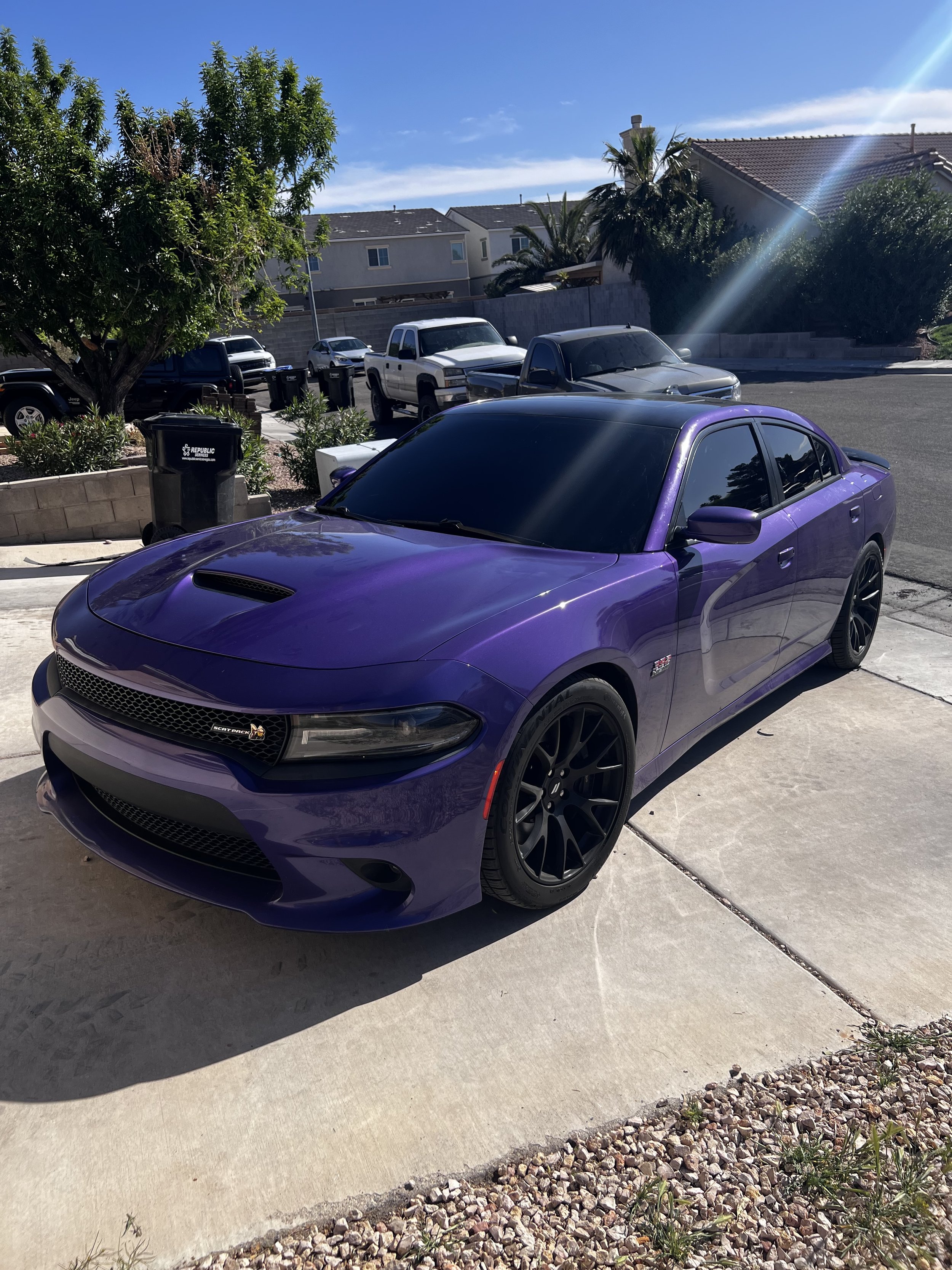 IMG_3984.jpeg