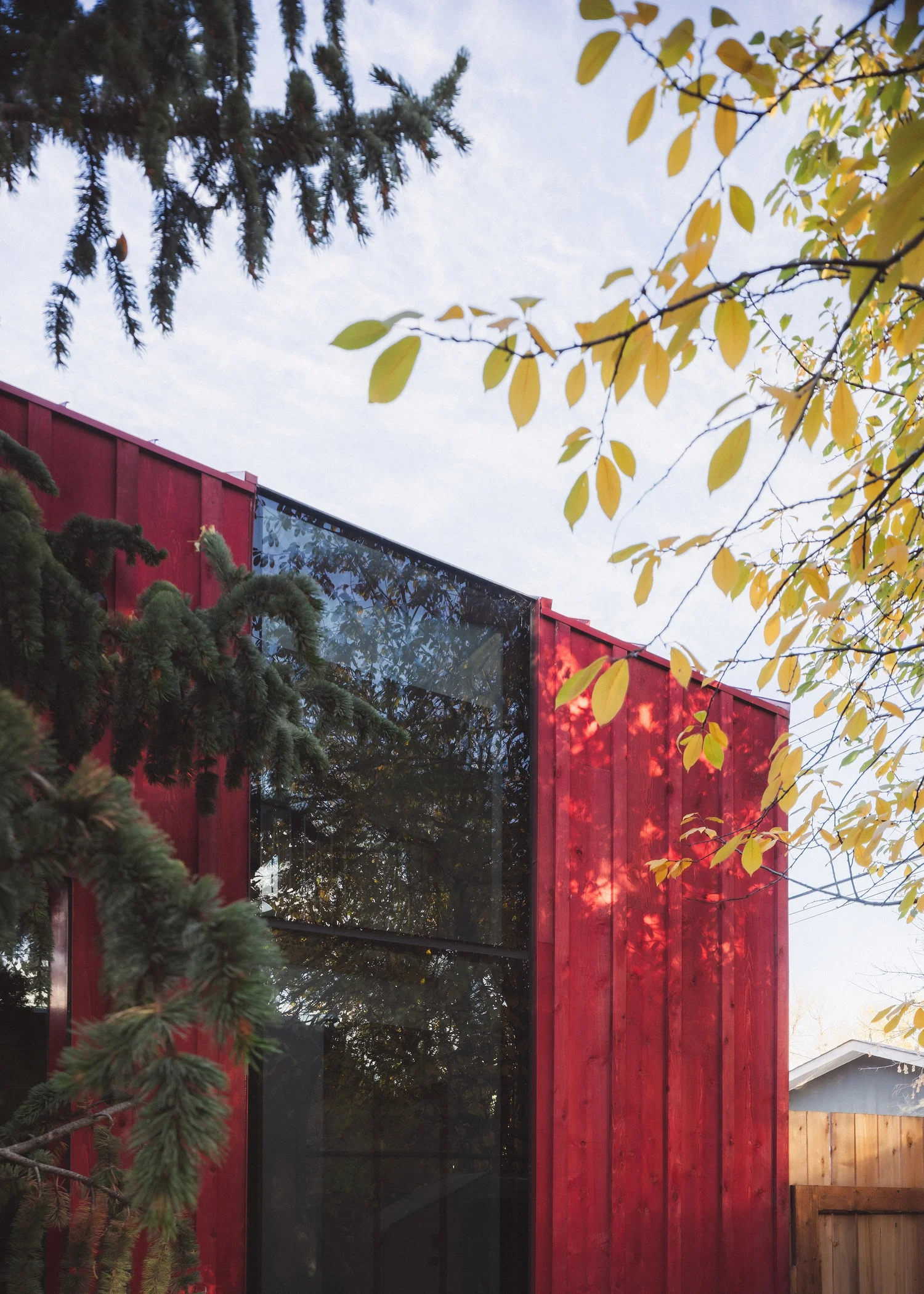 HUMMINGBIRD LANEWAY — BOLD WORKSHOP