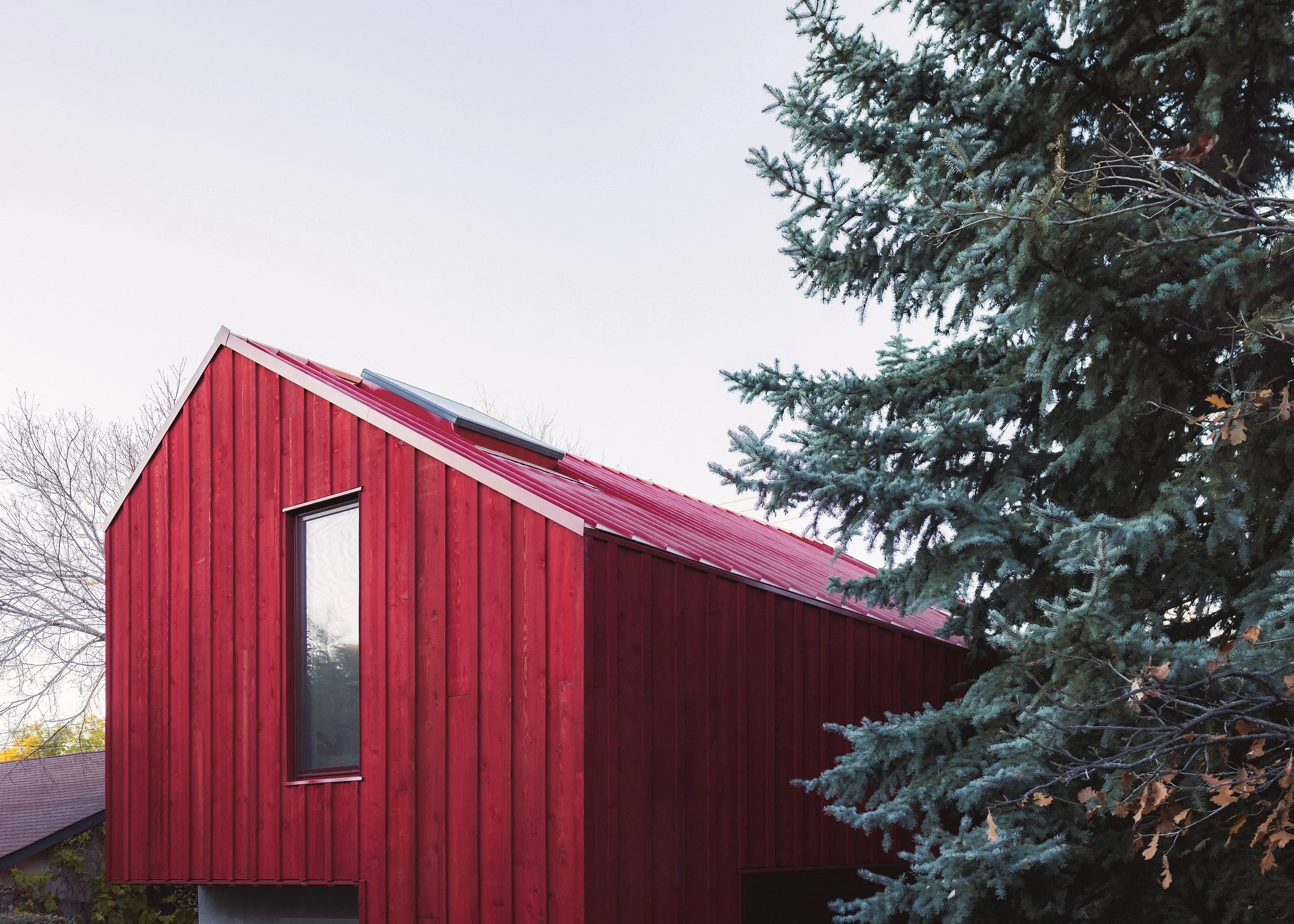 HUMMINGBIRD LANEWAY — BOLD WORKSHOP