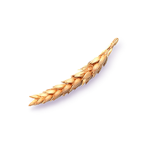 0023_Ingredient_Wheat.png