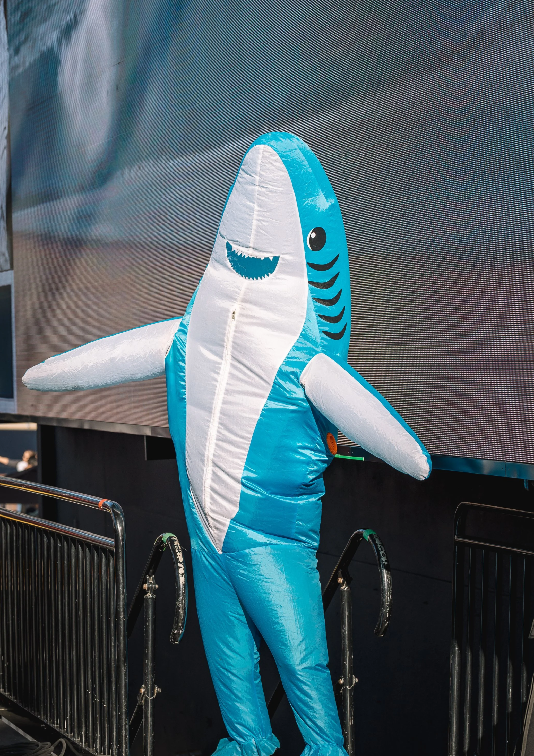 Person in a blue inflatable shark costume at a concert or event with stage lights, a crowd, and band performing in the background.