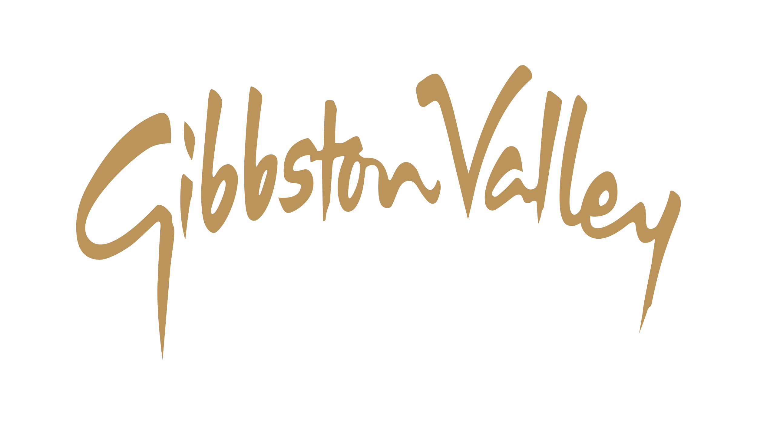 hoiho website gibbston valley.png