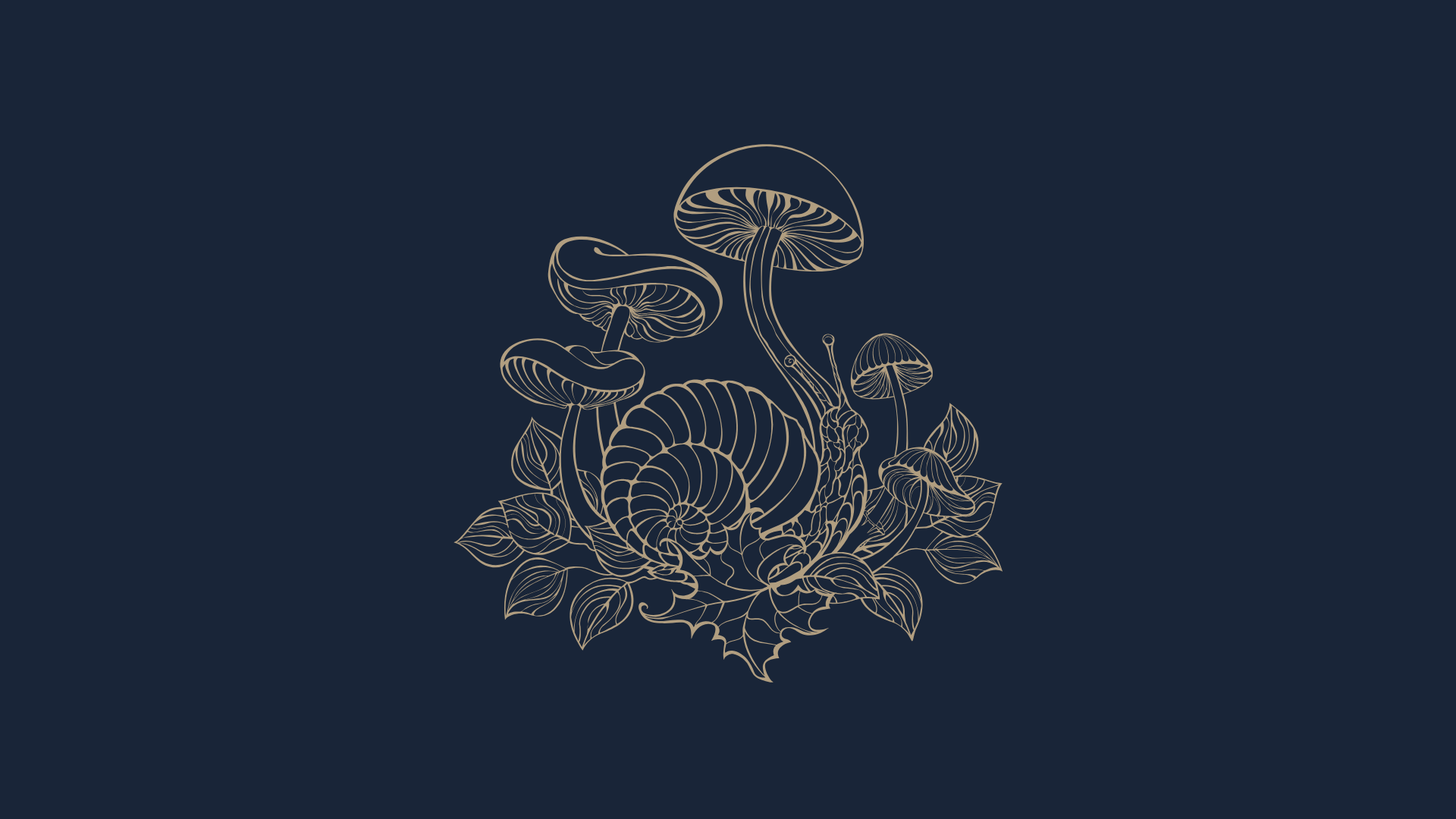 Forest Medicine Retreat