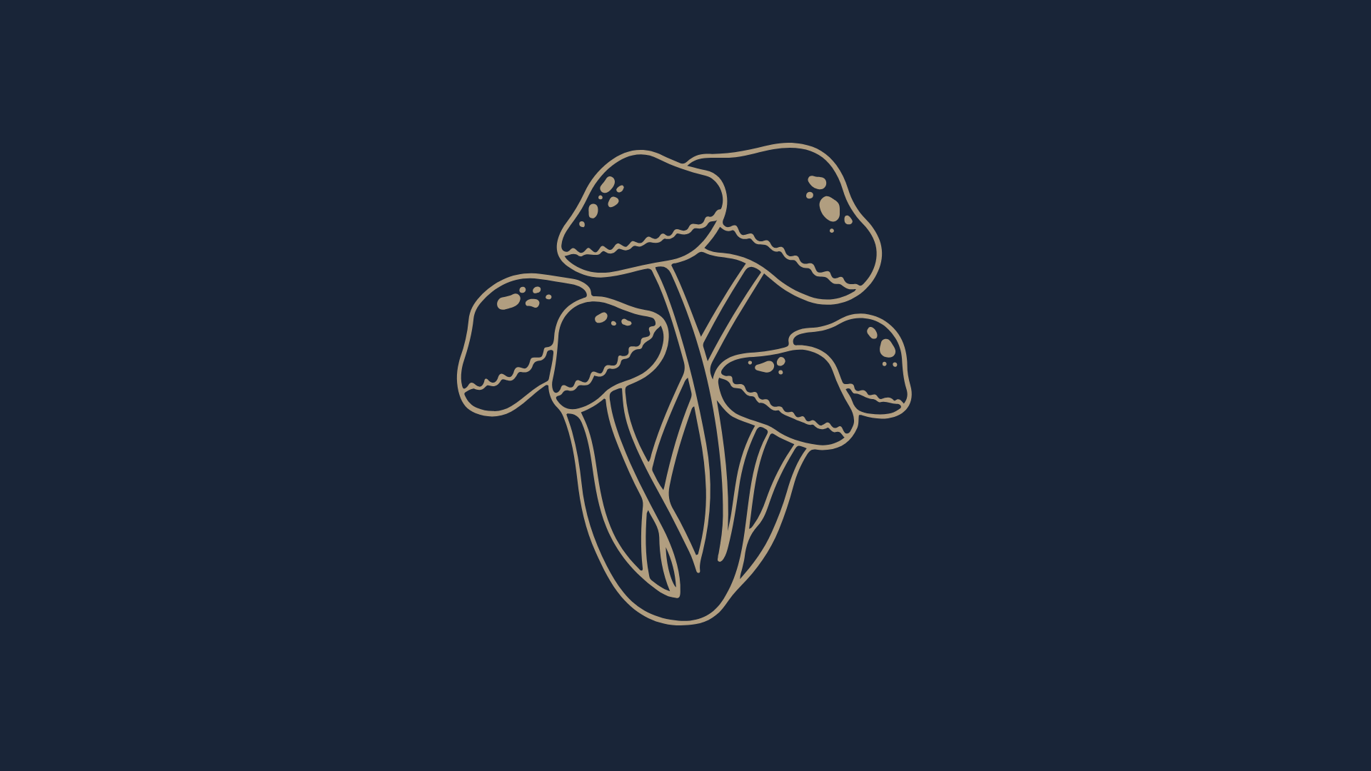 Forest Medicine Retreat