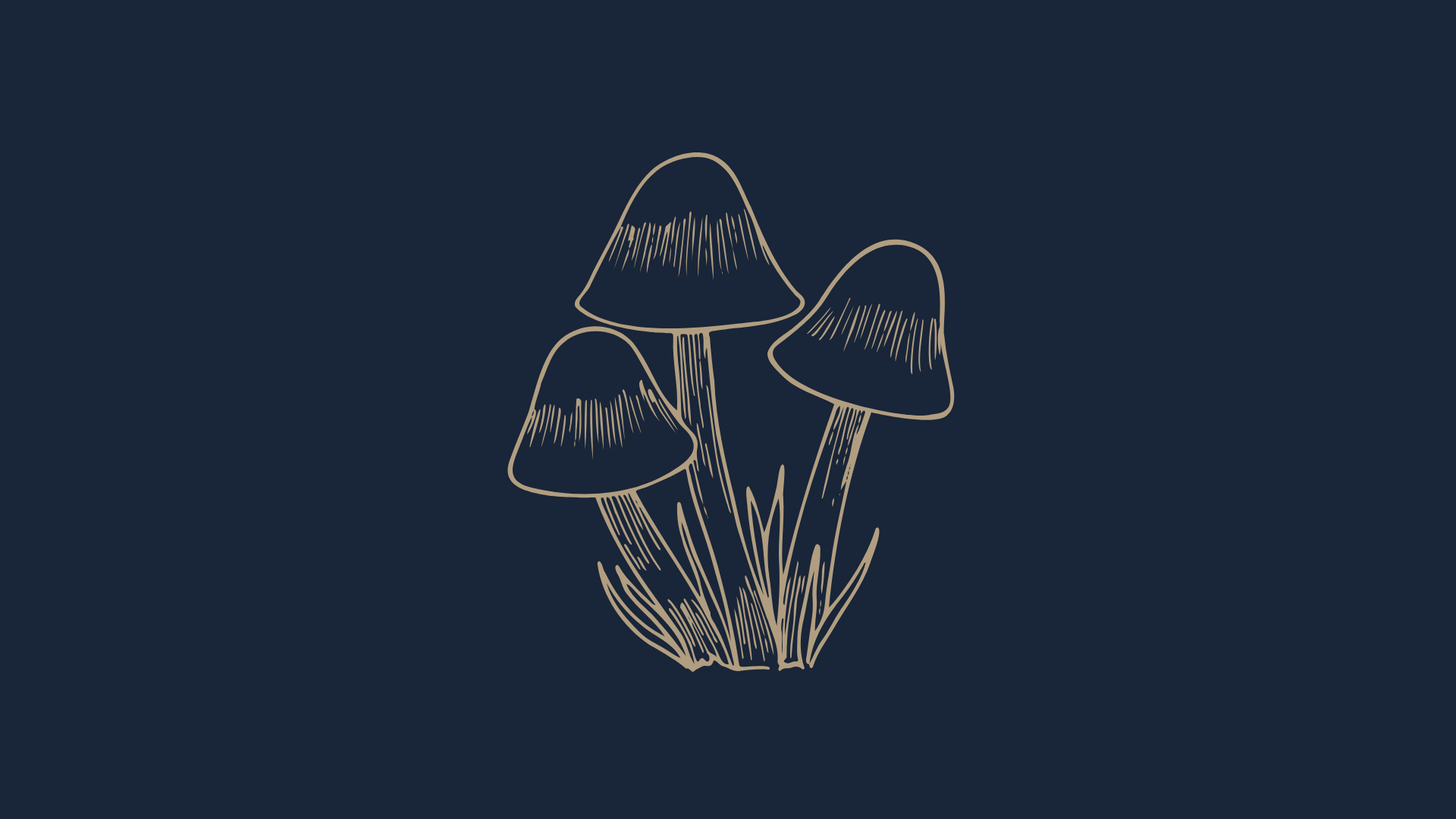 Forest Medicine Retreat