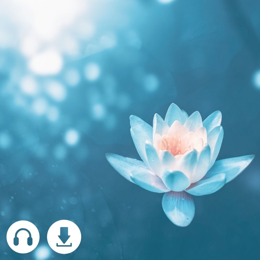 Refocus: Center of Your Head