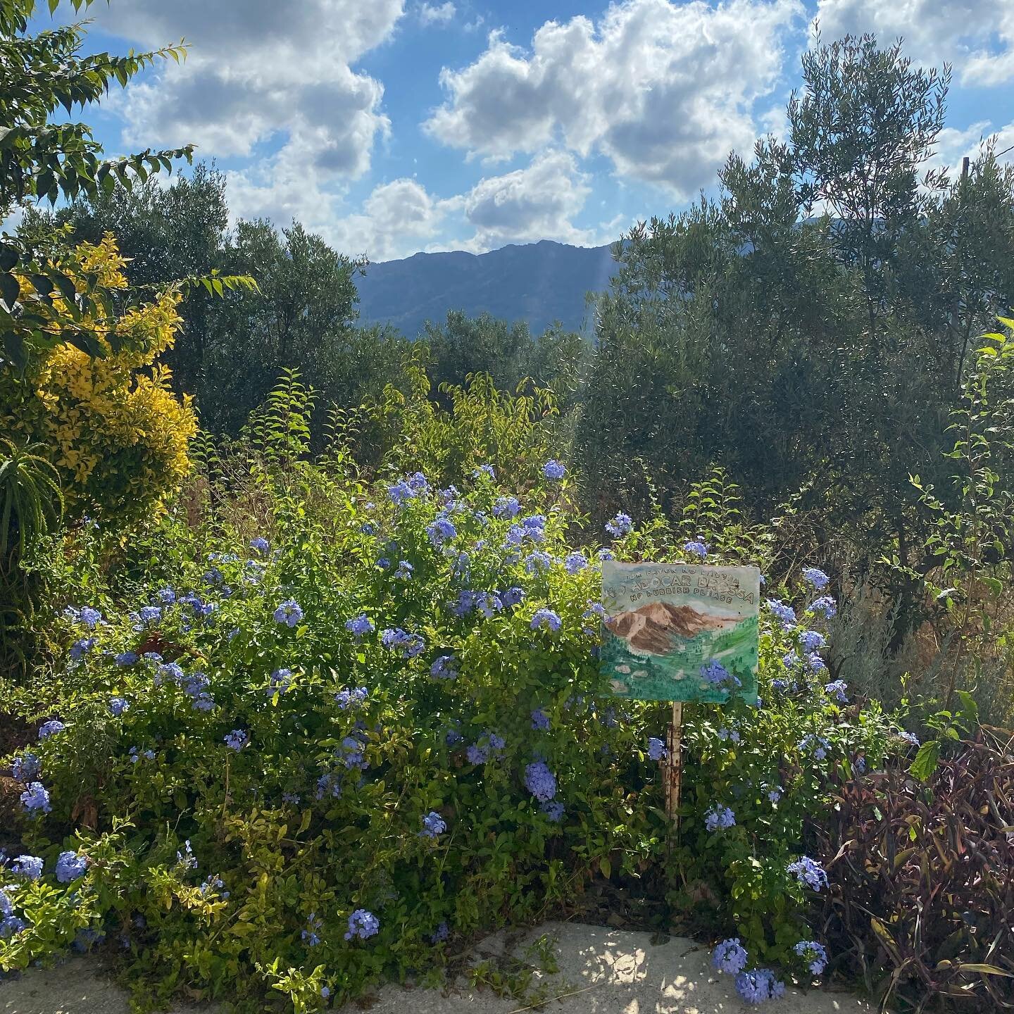 La Vall - Vista desde La Carroja. Esta ma&ntilde;ana. View from La Carroja. This morning.

#vallgallinera #lacarroja #naturelovers #marinaalta #alicantegram #turismorural #mountainlovers
