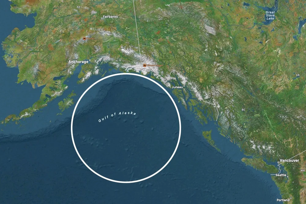 Alaskan Pollock — Seatrace International