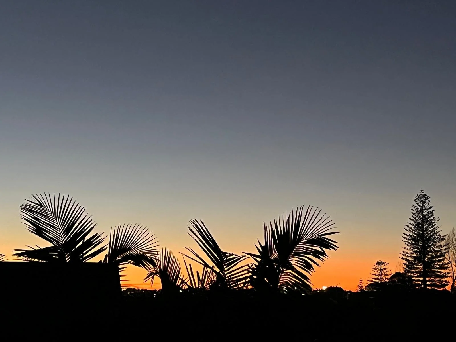 Sunset.jpeg
