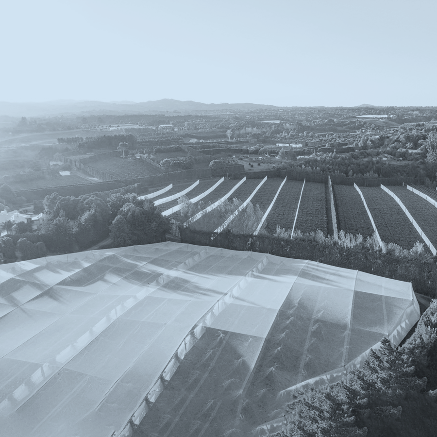 Morrow-Capital_Investments_Southern-Cross-Horticulture.png