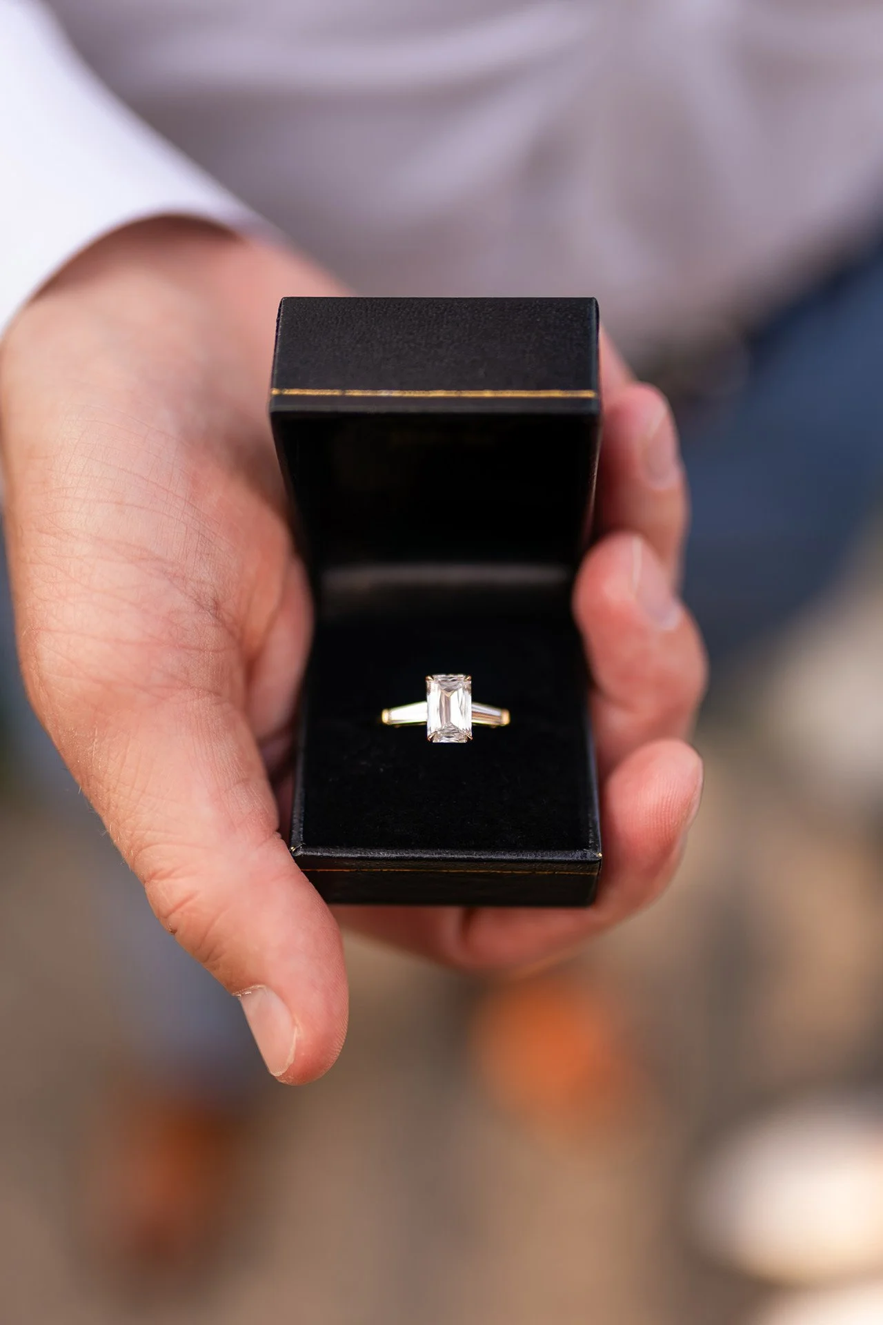 The-Alfred-Caldwell-Lilly-Pool-Chicago-Proposal-Photography25.jpg