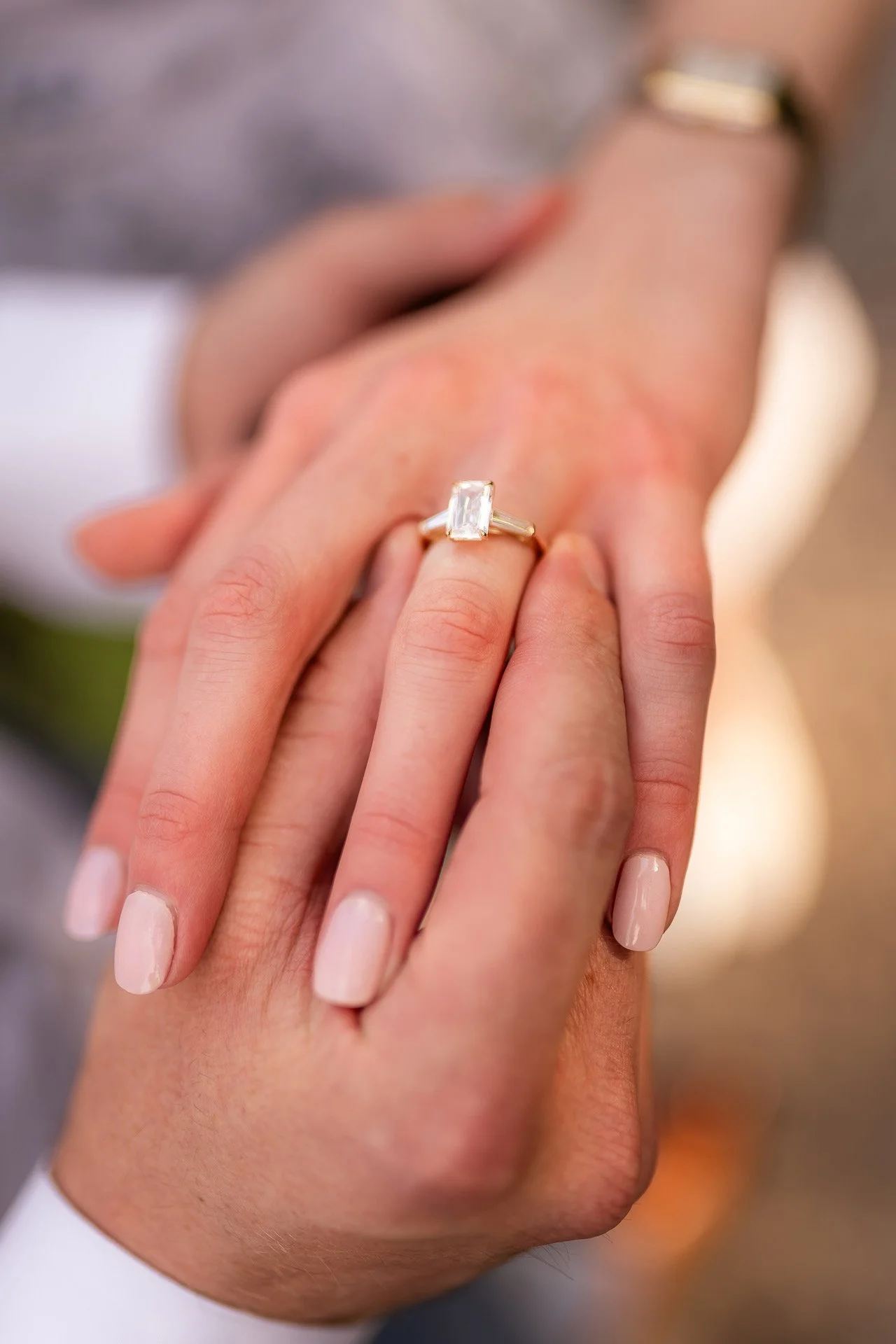 The-Alfred-Caldwell-Lilly-Pool-Chicago-Proposal-Photography26.jpg