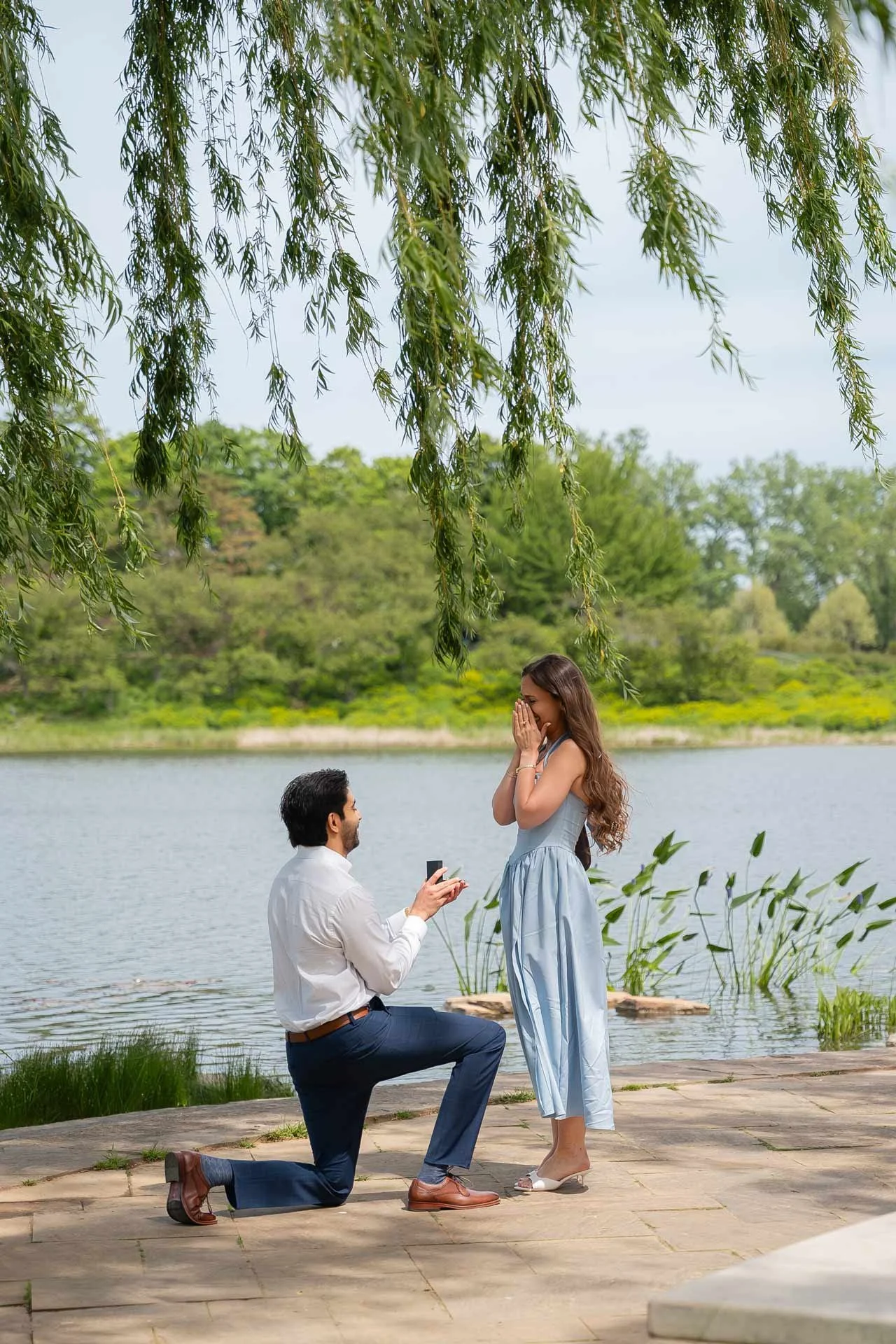Chicago-Botanic-Garden-Proposal-Engagement.jpg