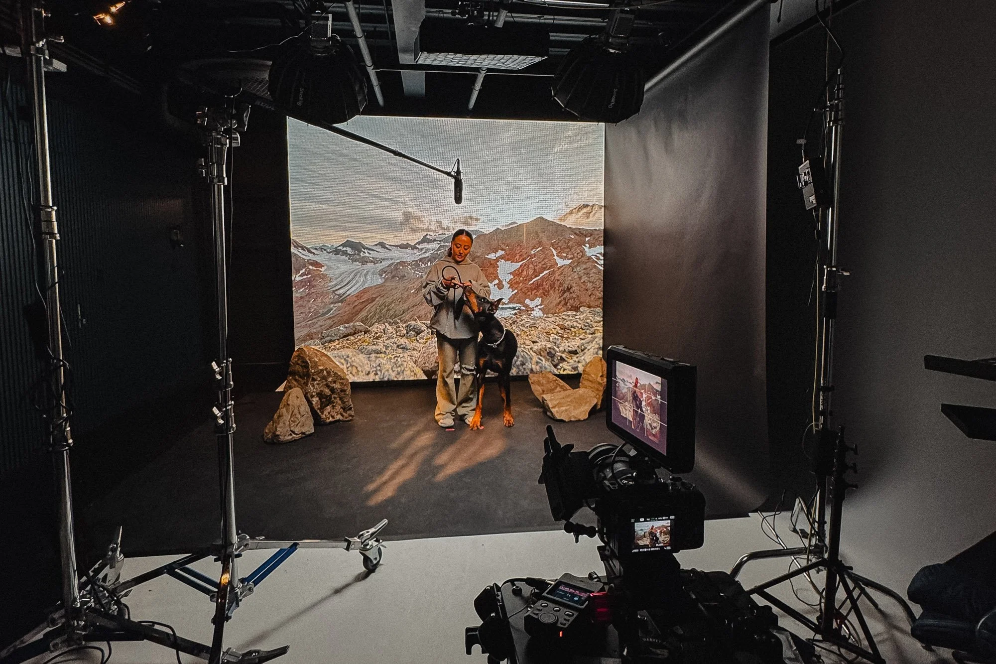 A woman and a dog appear on a video recording set with a mountain landscape background on a large screen, surrounded by studio equipment and lighting.