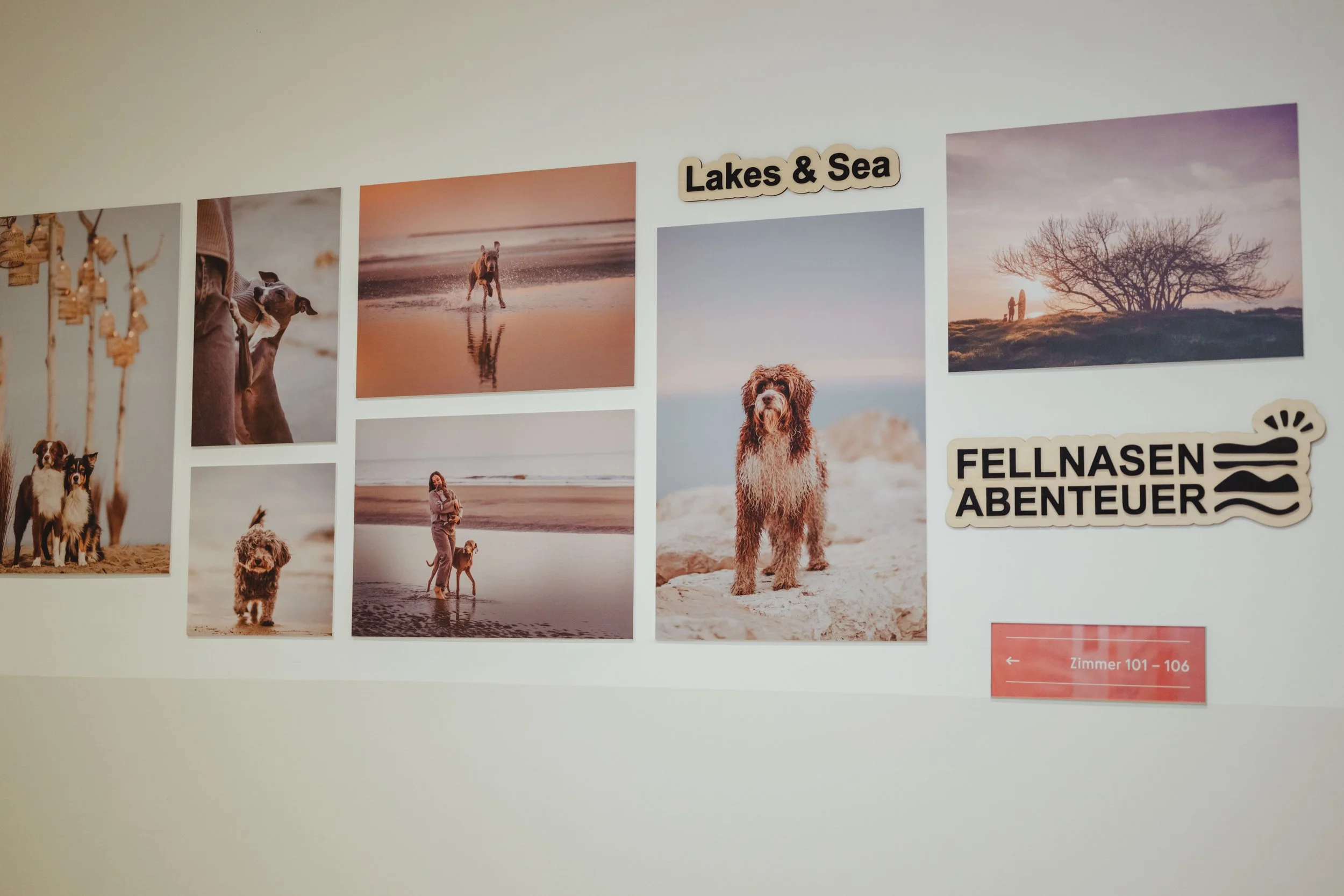 Fellnasenabenteuer von Petra Nestelbacher