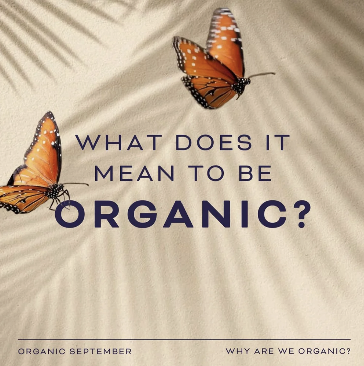 Screenshot 2025-12-02 at 19.56.49.png