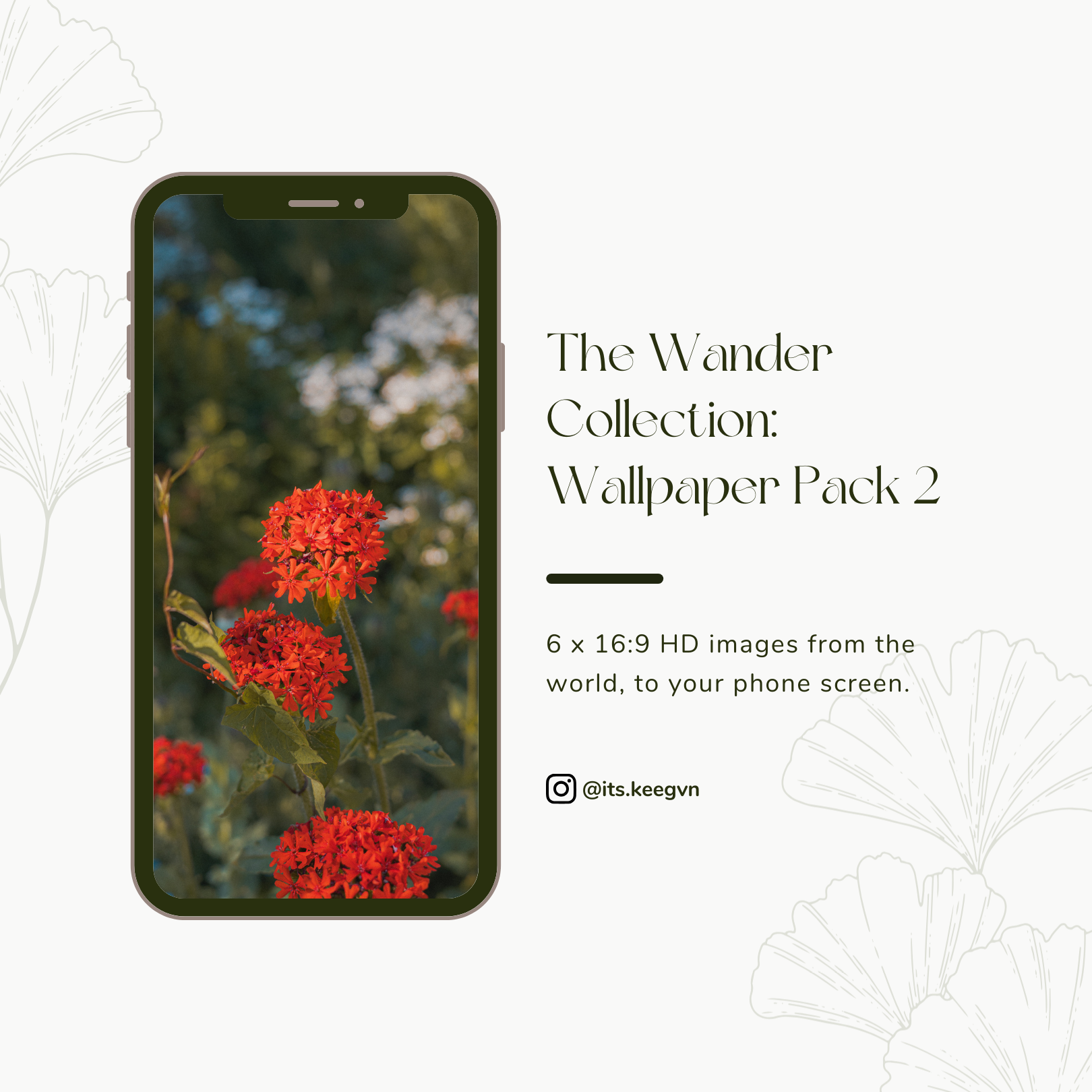 Wallpaper Pack 2: Flora // The Wander Collection