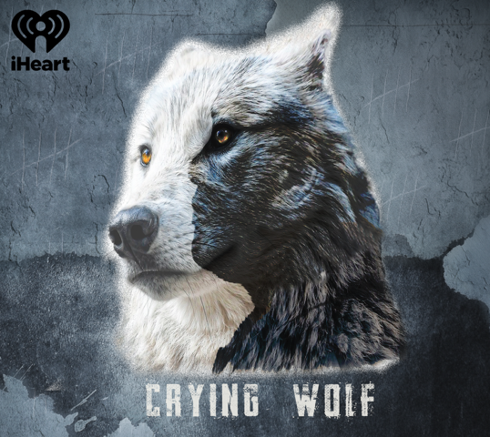 Screenshot 2025-06-18 at 1.13.31 PM.png