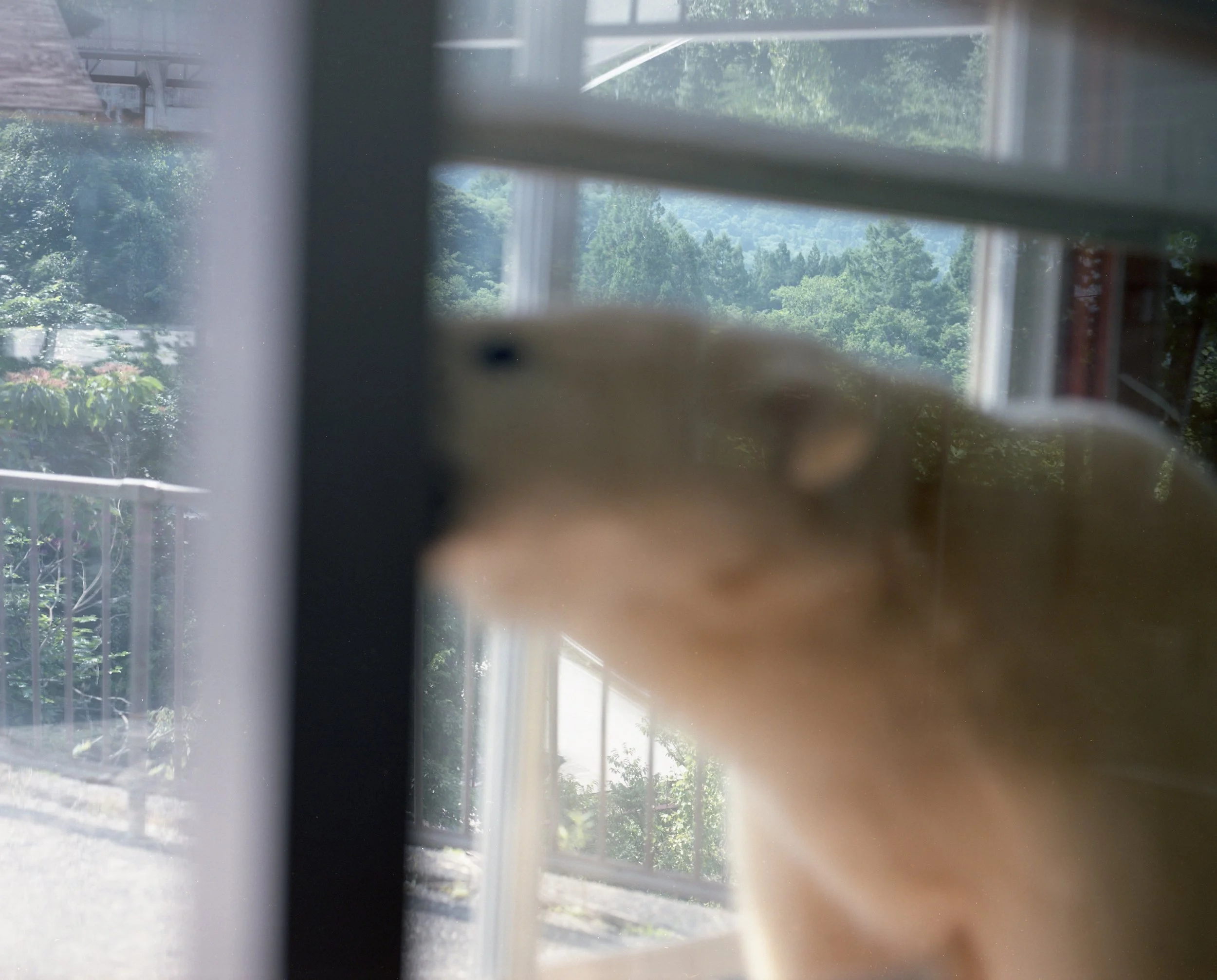 img320.jpg