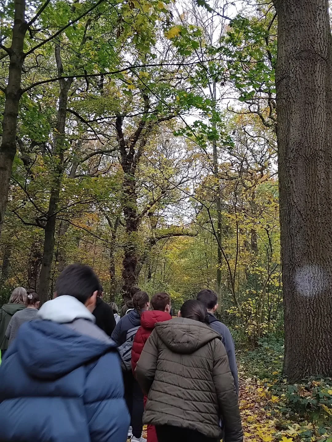 We stayed local today to see the autumn colours. The group stuck together, encouraged each other, and challenged themselves on a long walk with a picnic in the woods. #walkandtalk @woodlandtrust #altbridgepost16  #wellbeing #nature #healthyhabits #yo