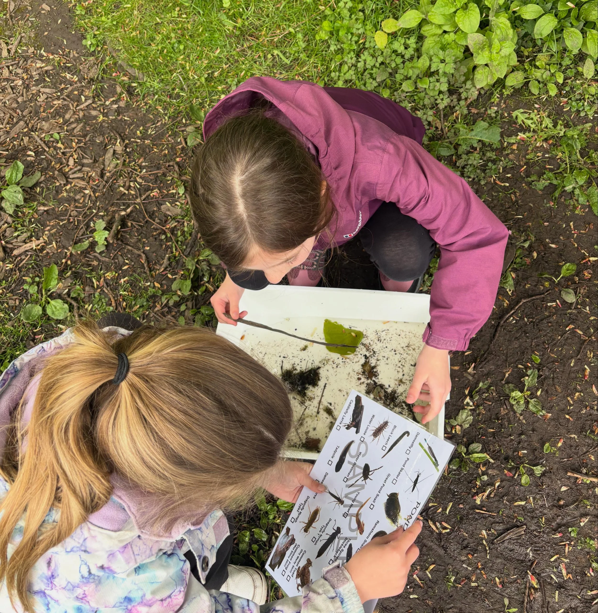 A blissful morning with #LongmoorPrimary year 3 engaging in Pond Dipping and #Bug Hunts as part of their #LordDerbyAward! This Award is a brilliant way of incorporating outdoor learning into the curriculum 🍃🔍

#AALA #LOTC