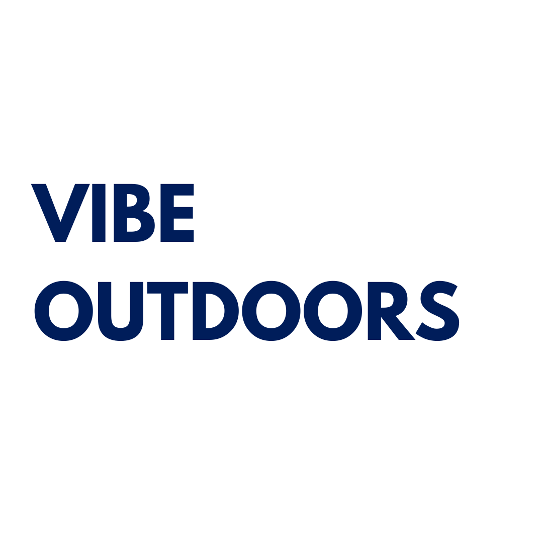 VIBE YOUTH VOICE.png