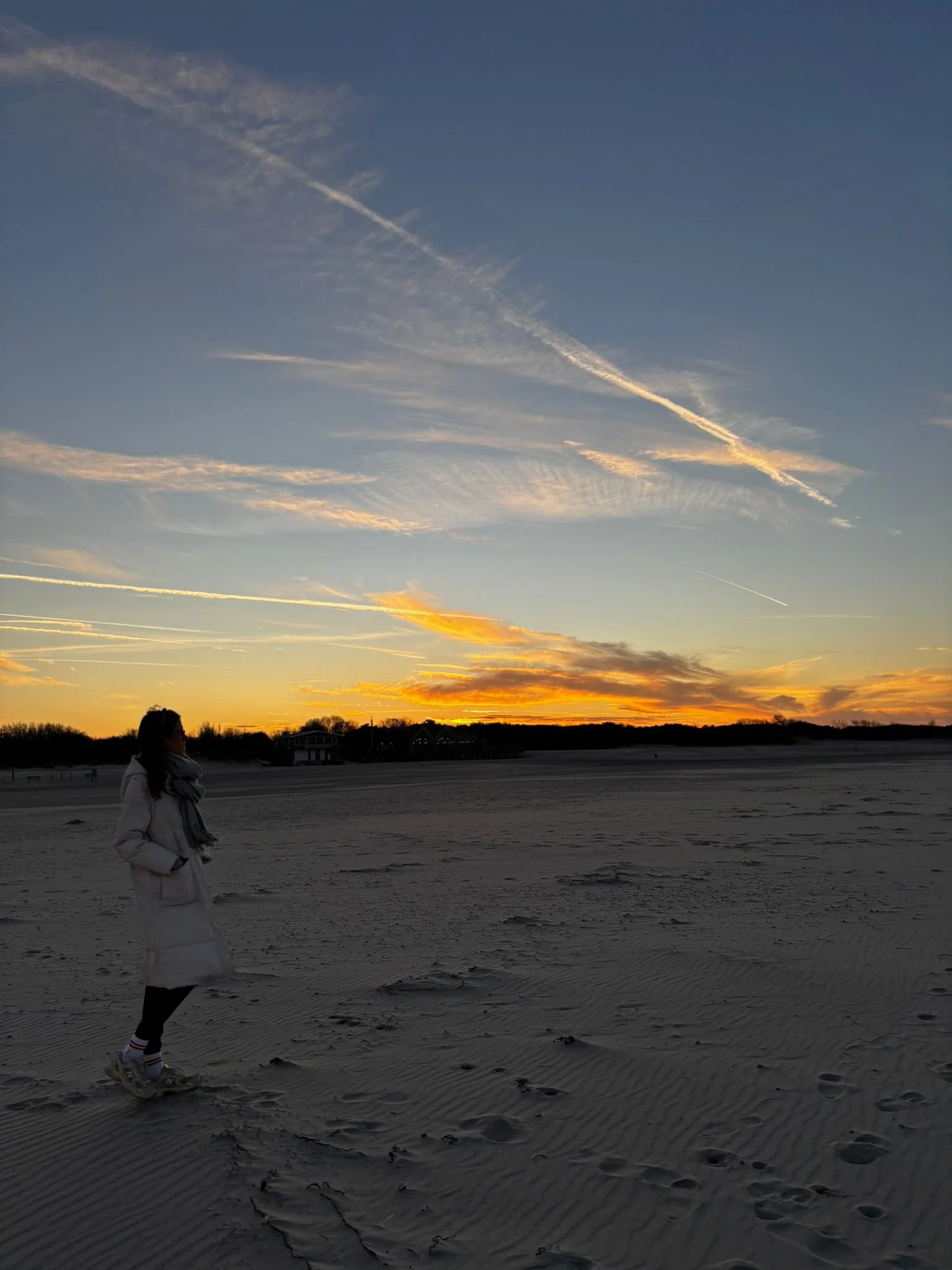 WhatsApp Image 2026-02-23 at 09.27.18.jpeg